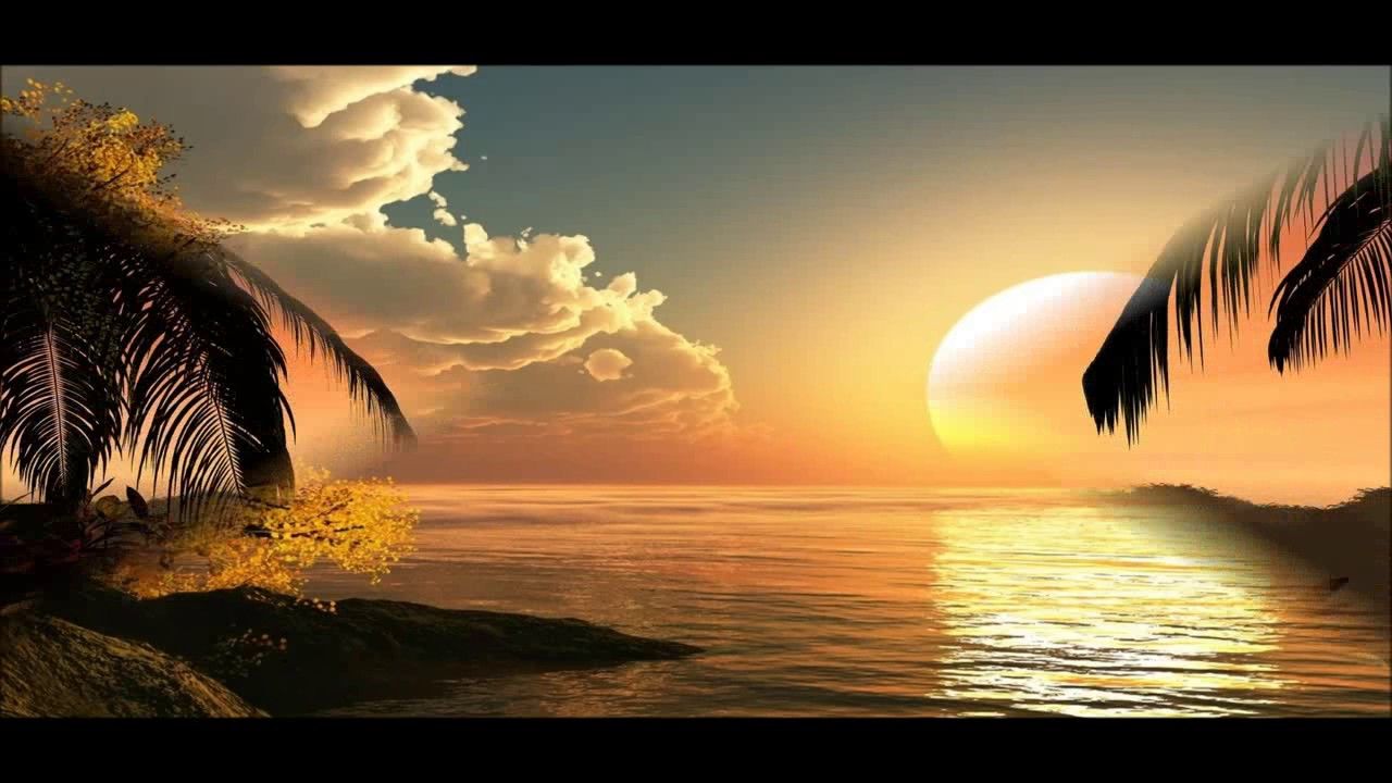 Sole e alberi buongiorno, 1024x768 HD, Laptop
