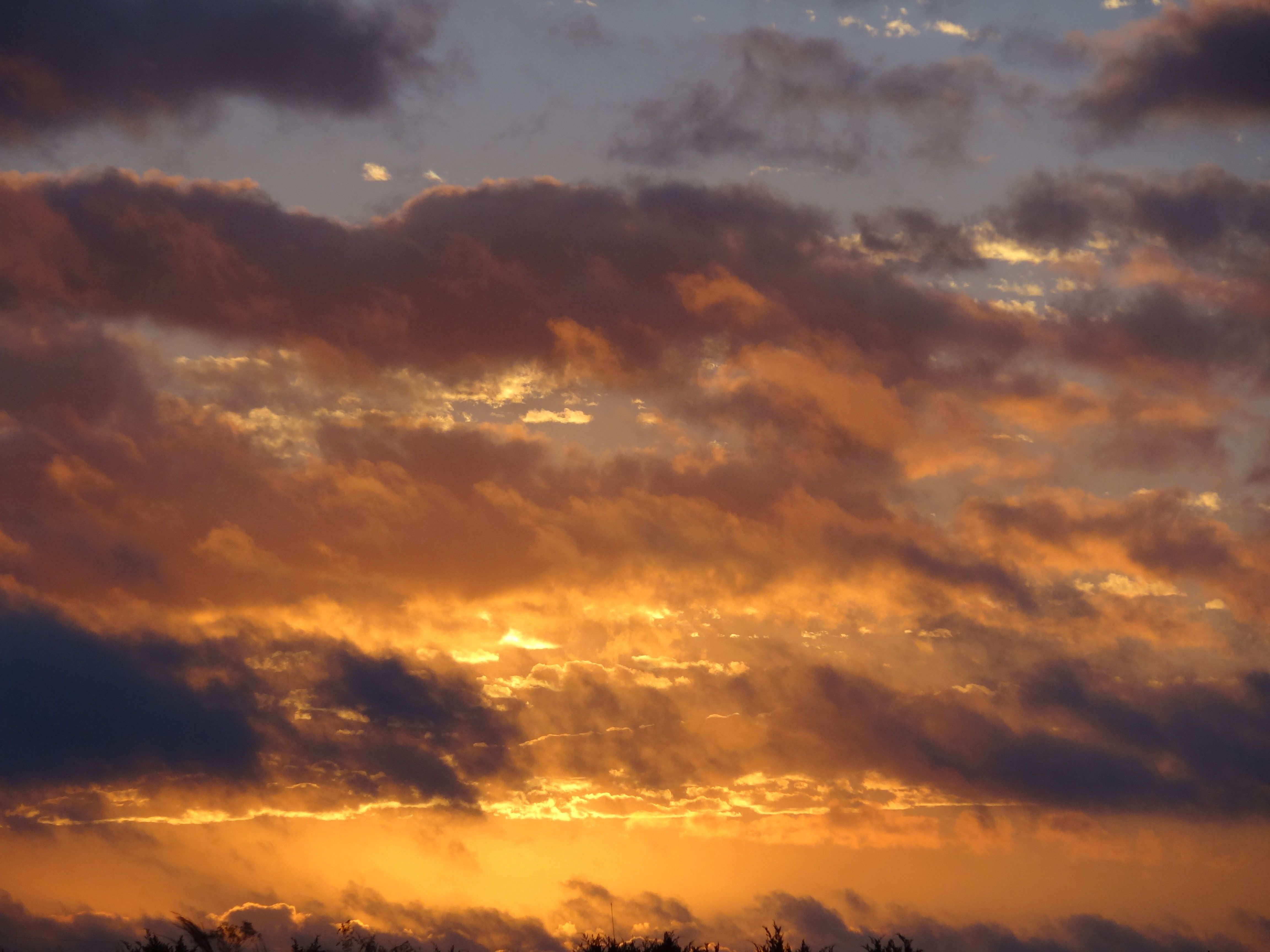 Sentiero recintato al tramonto, 1920x1200 Full HD+ WUXGA, iMac