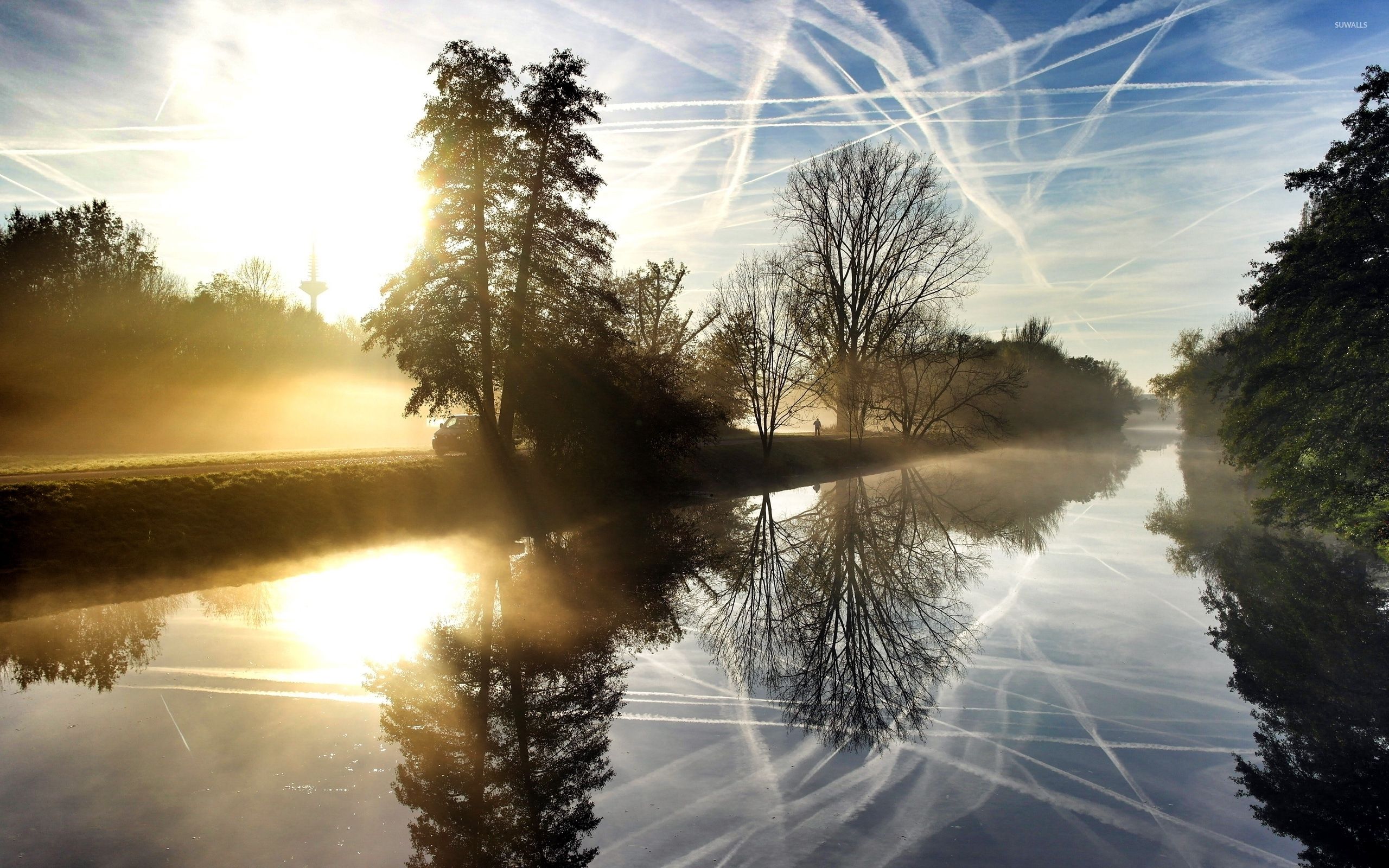 Fiume nebbioso con sole e alberi, 2560x1600 2K, PC