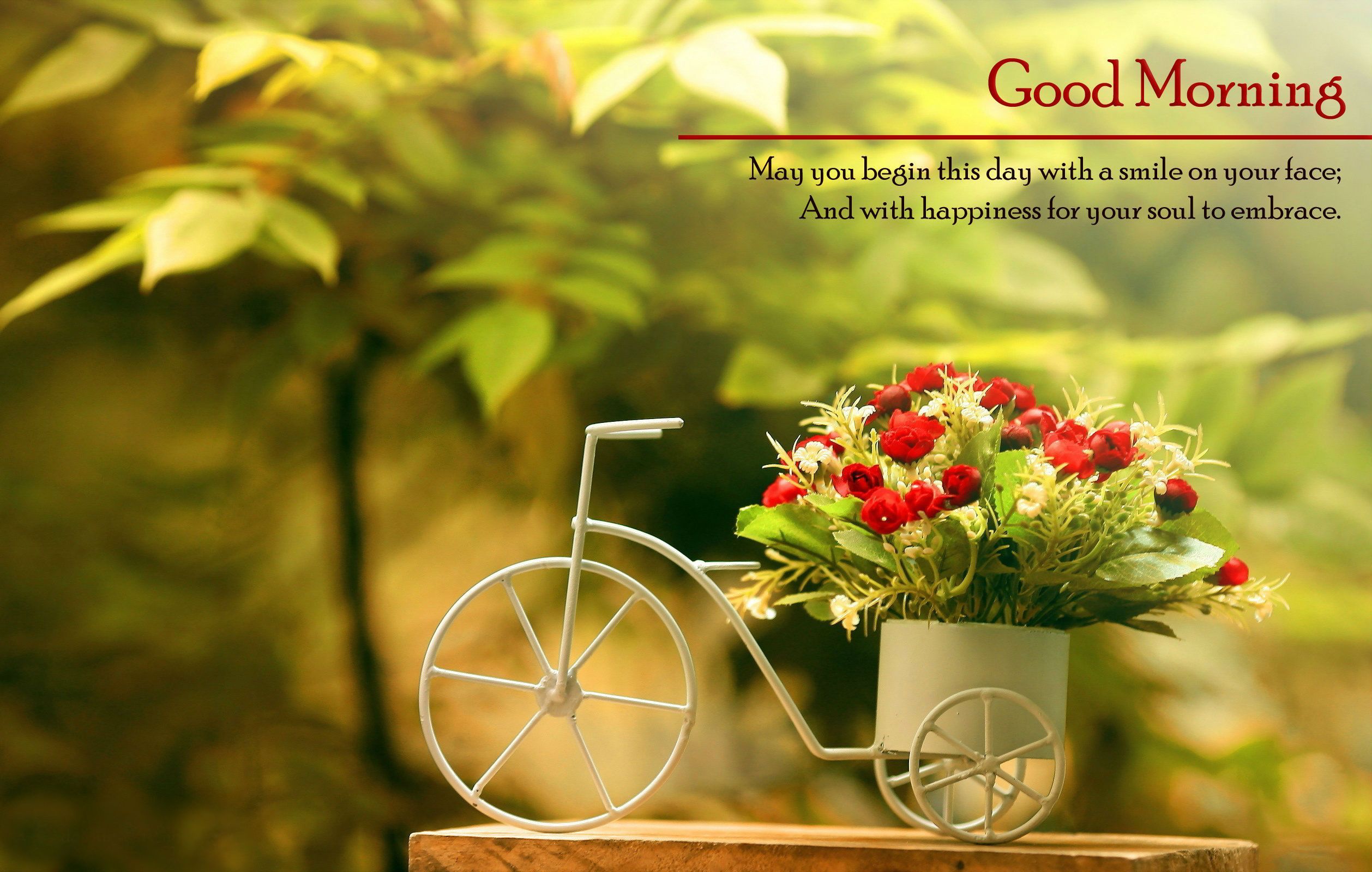 Bicicletta decorativa con fiori, 2516x1600 Hi-Res, Laptop