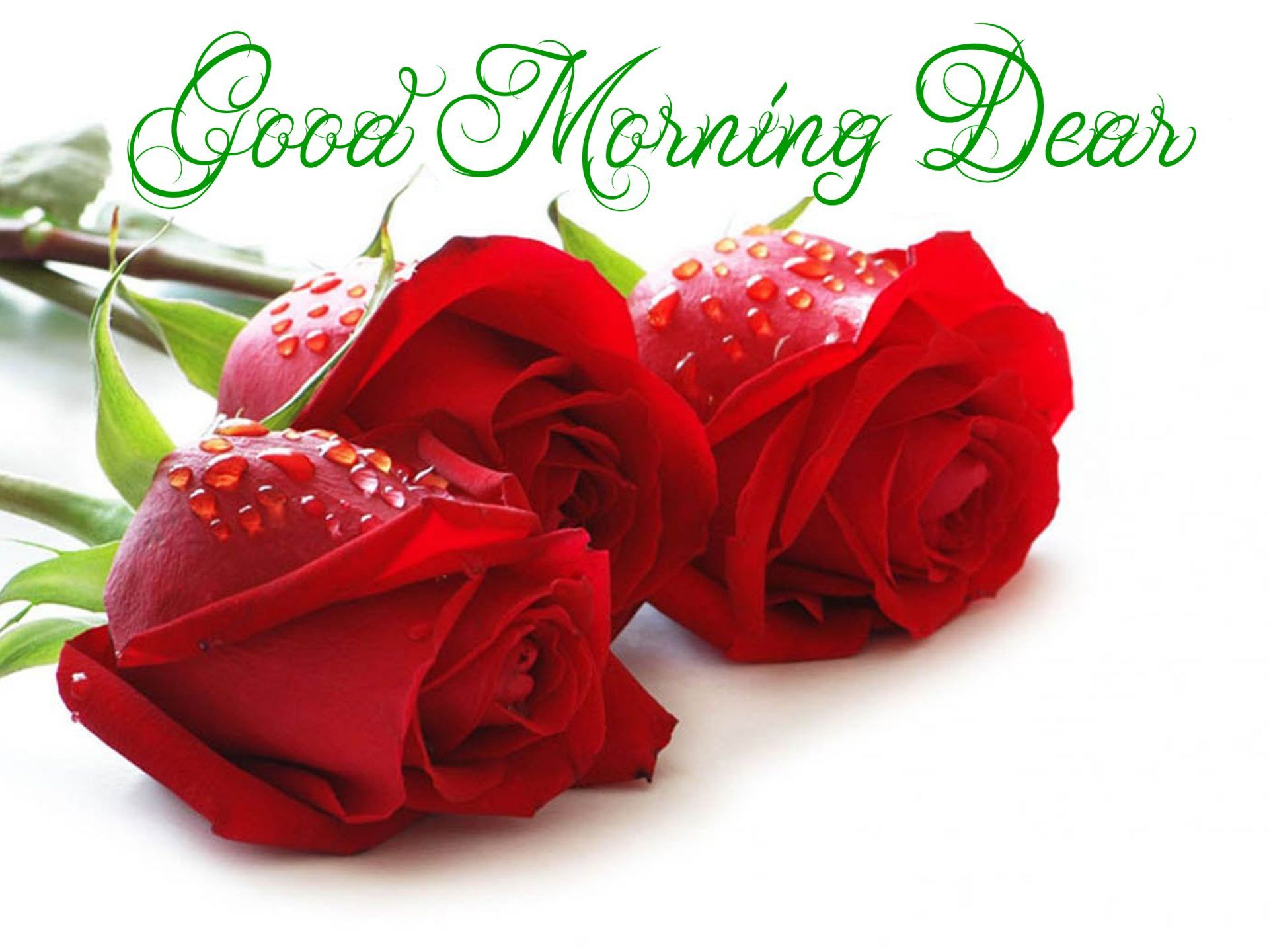 Rose rosse con scritta, 1920x1440 WUXGA, Desktop