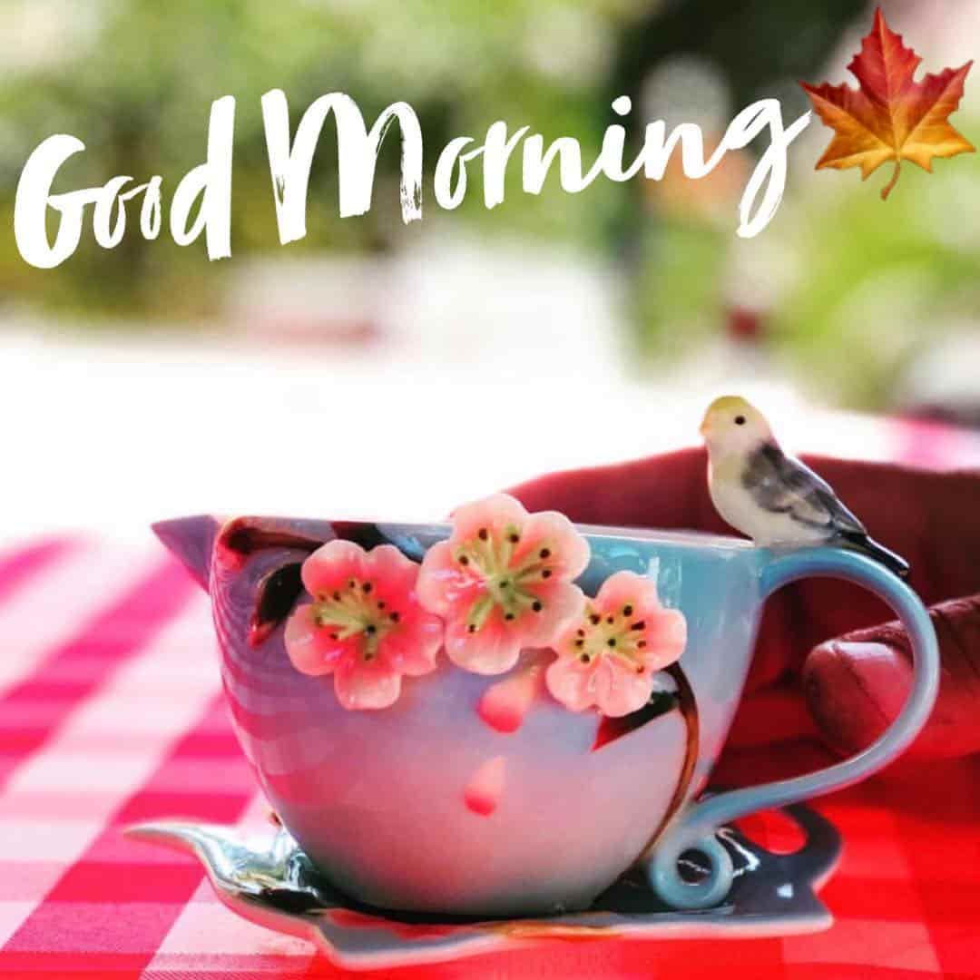 Tazza fiori uccellino Good Morning, 1080x1080 HD, Desktop