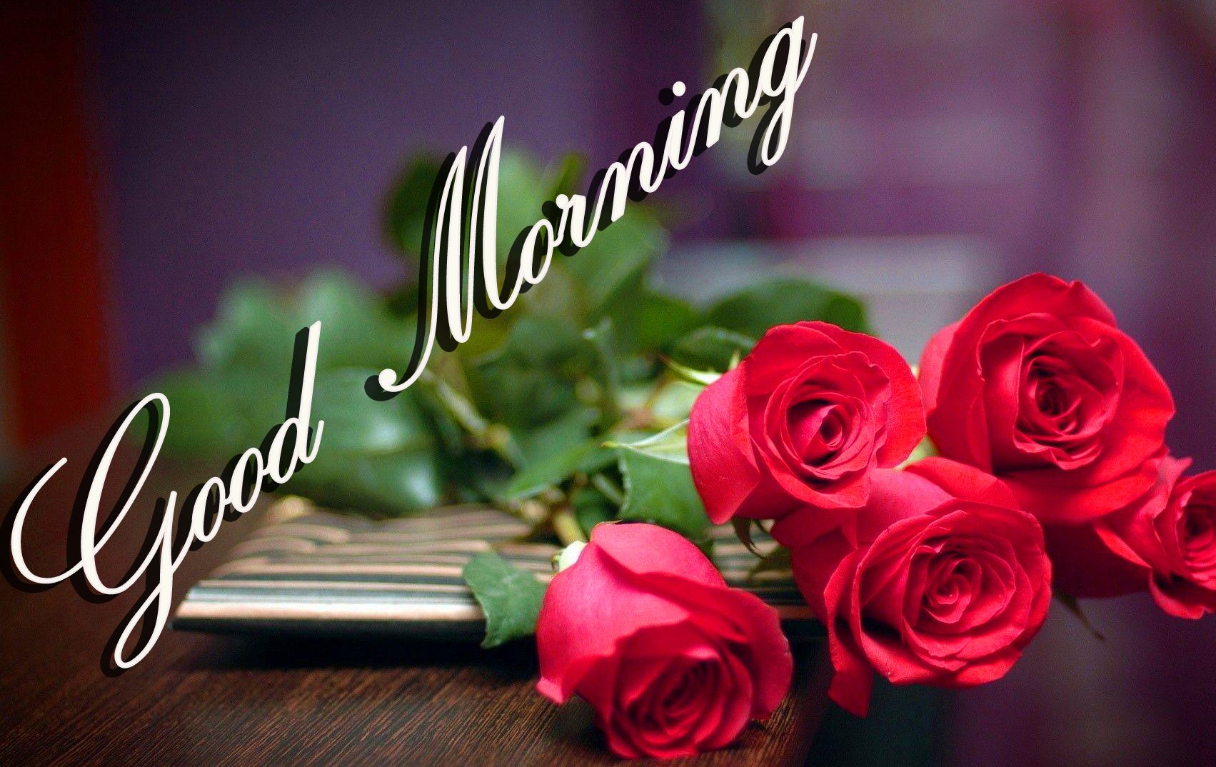 Rose rosse buongiorno testo, 1703x1074 HD, Desktop