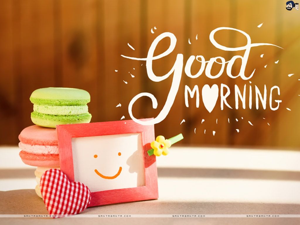 Macarons e cornice sorridente, 1024x768 HD, PC
