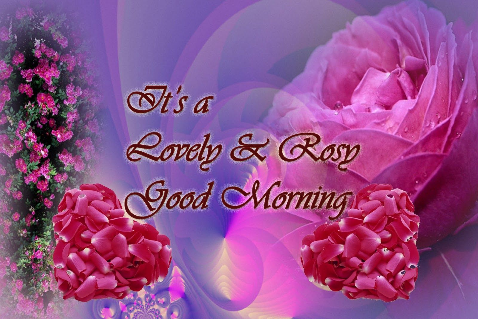 Rose rosa e testo Buongiorno, 1600x1067 HD, PC