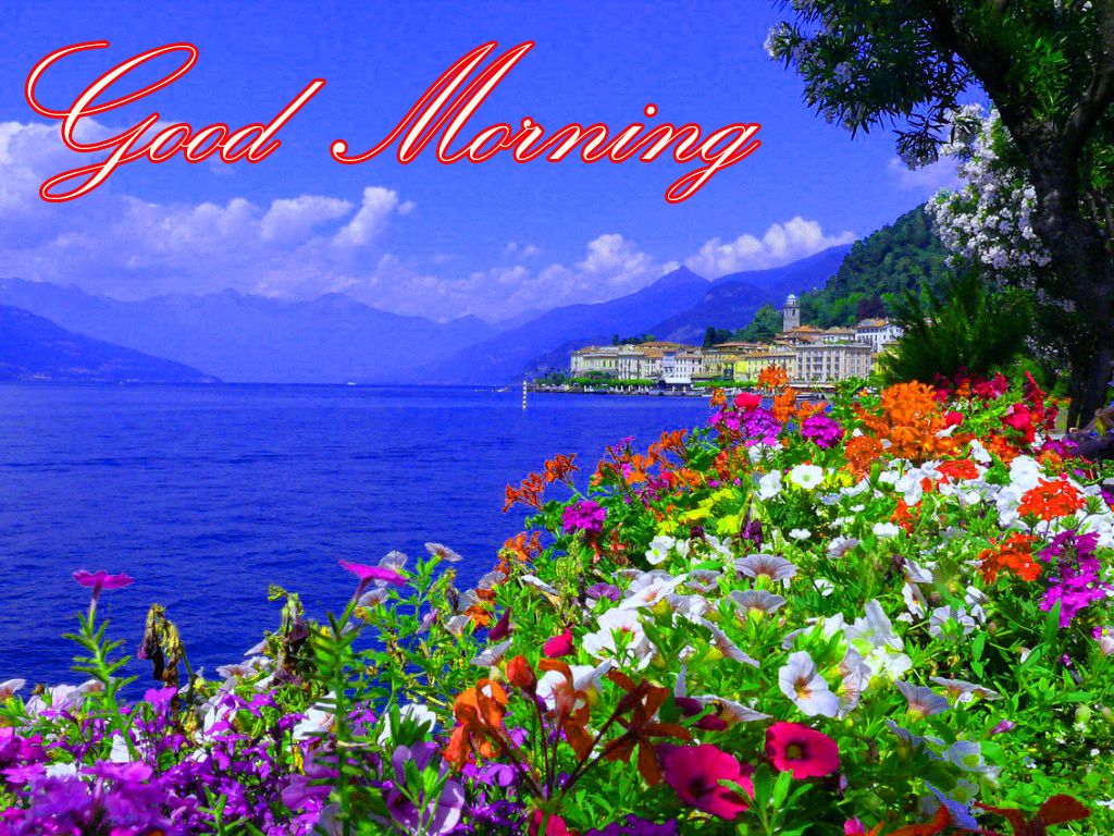 Lago con fiori colorati e montagne, 1024x768 HD, PC