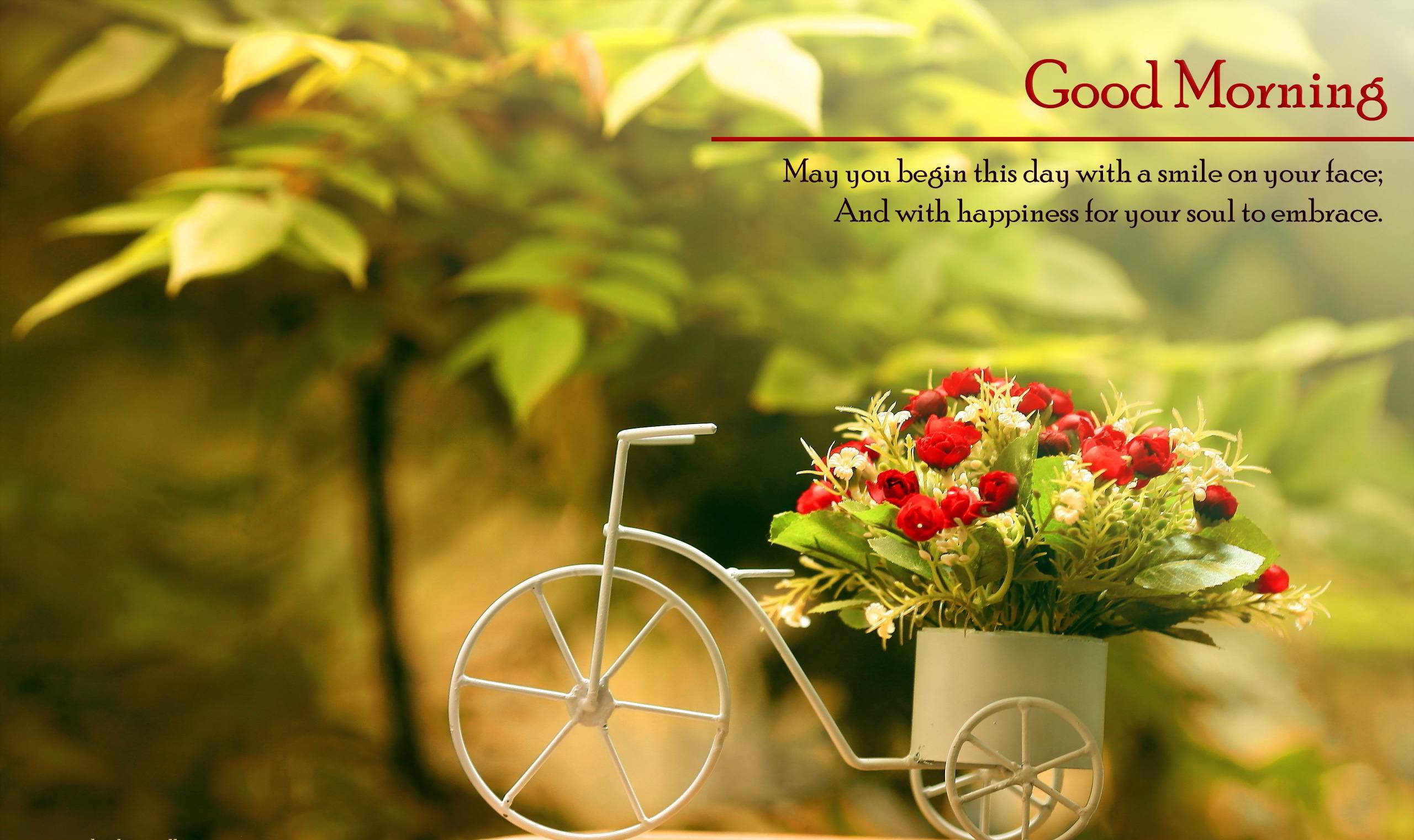 Bicicletta con fiori rossi, 2560x1521 2K QHD, PC