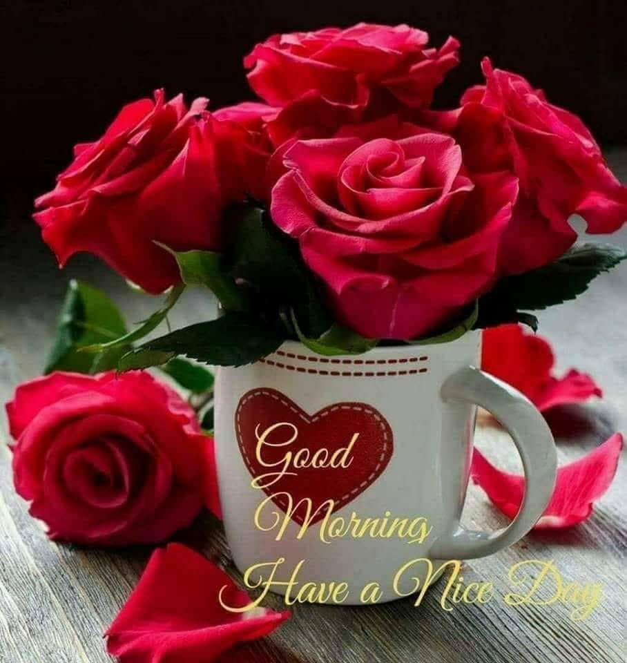 Rose rosse in tazza cuore, 908x960 Full HD Verticale, iPhone