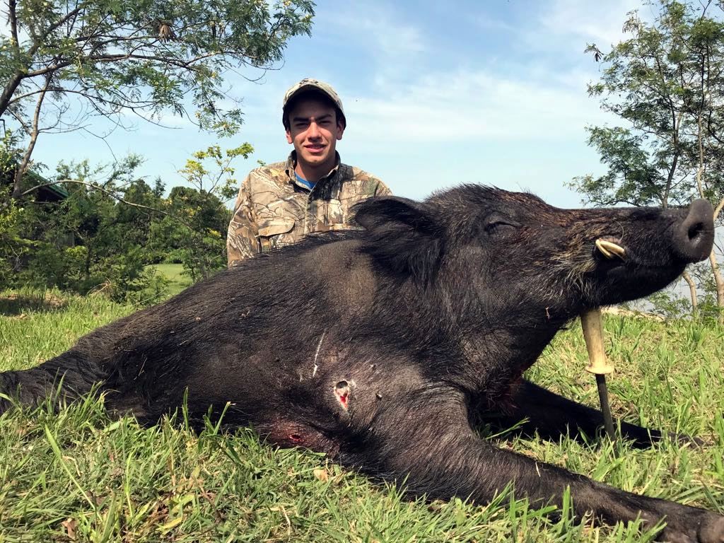 Caccia cinghiale in Argentina, 1024x768 HD, Desktop