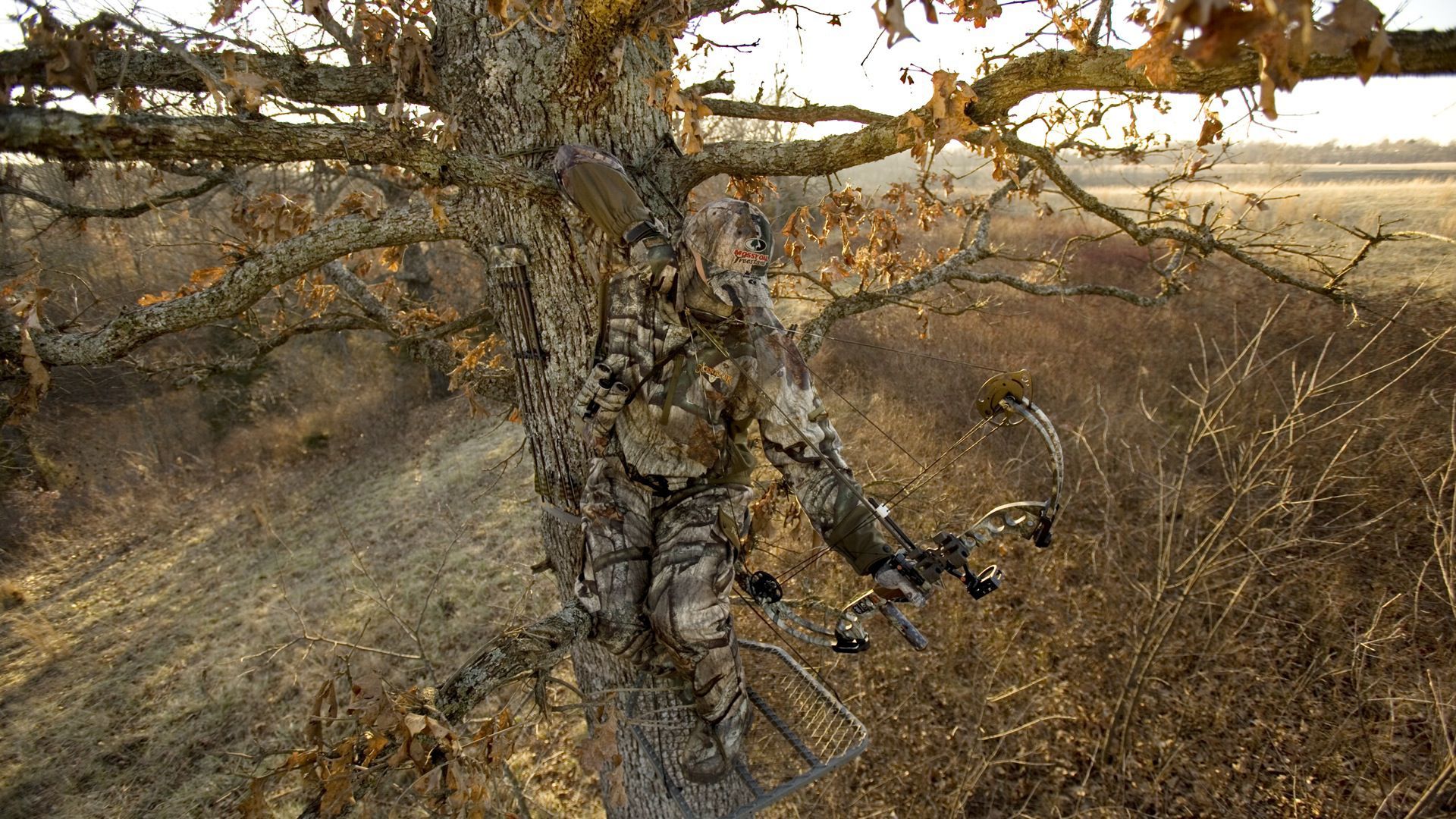 Cacciatore mimetizzato accanto ad albero, 1920x1080 Full HD 1080p, Ultrabook