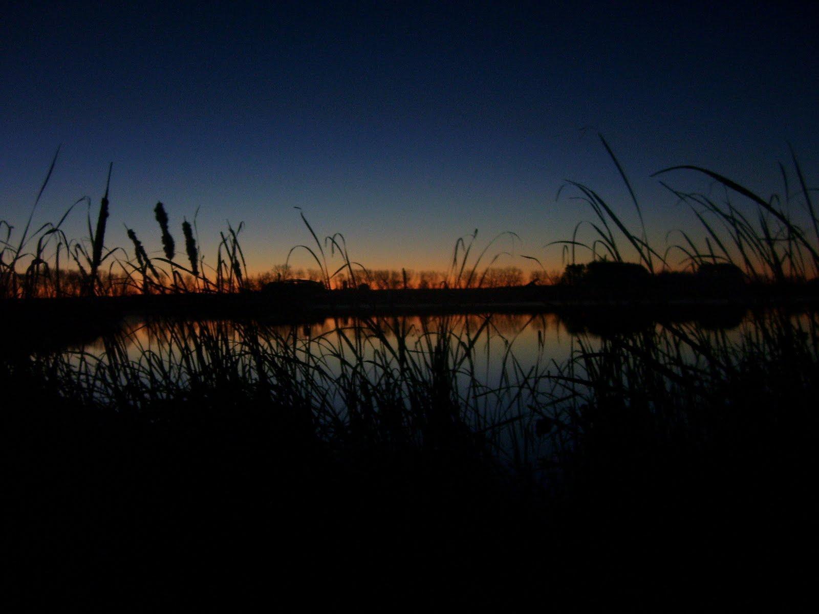 Tramonto su palude con canne, 1600x1200 HD Ready, Lenovo Legion
