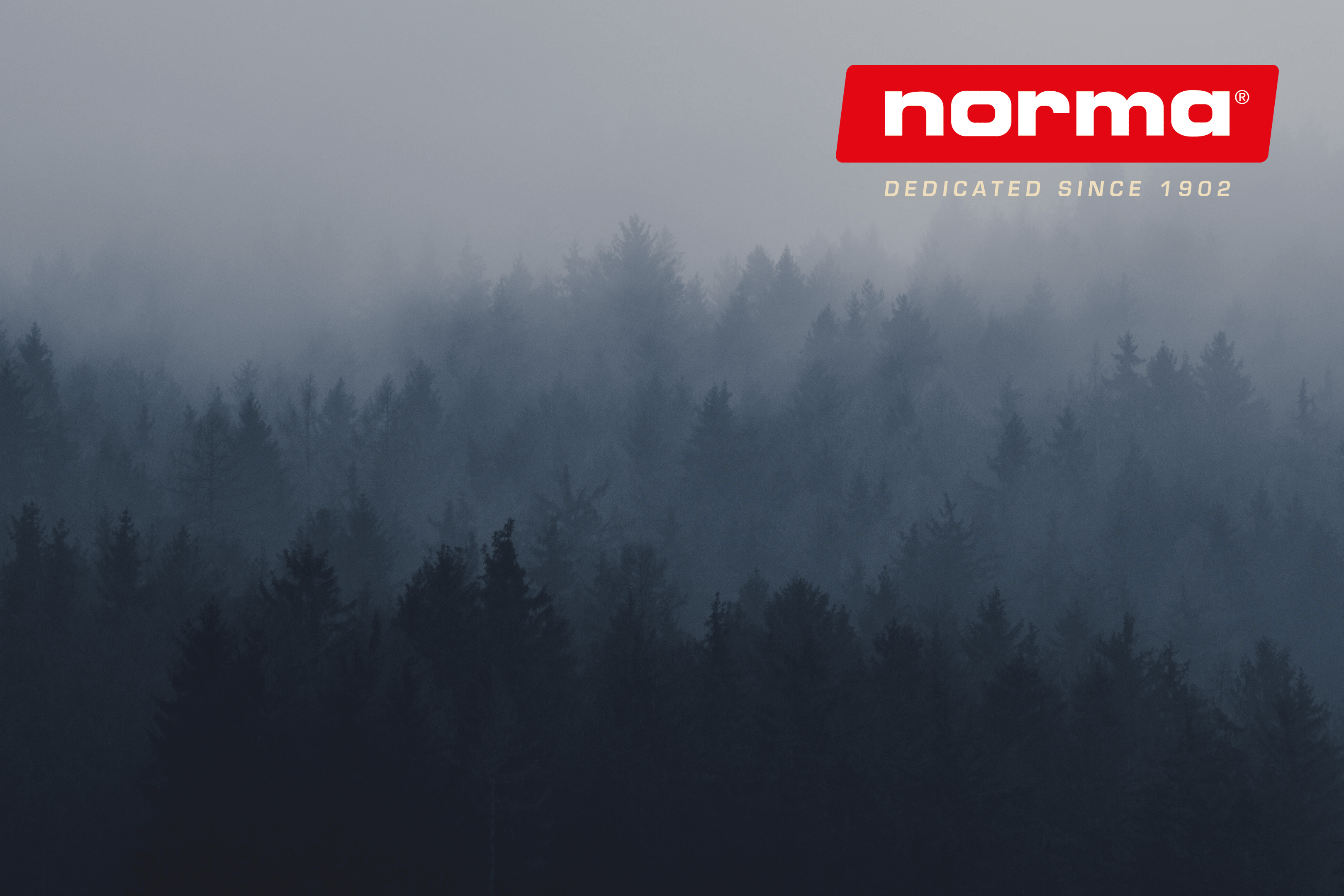 Foresta nebbiosa con logo Norma, 3240x2160 2K+, Notebook
