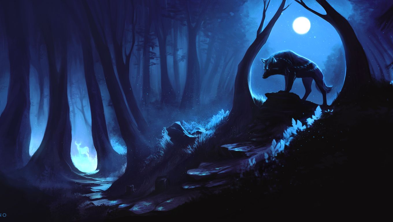 Lupo silhouette foresta notturna, 1360x768 720p, HP Laptop