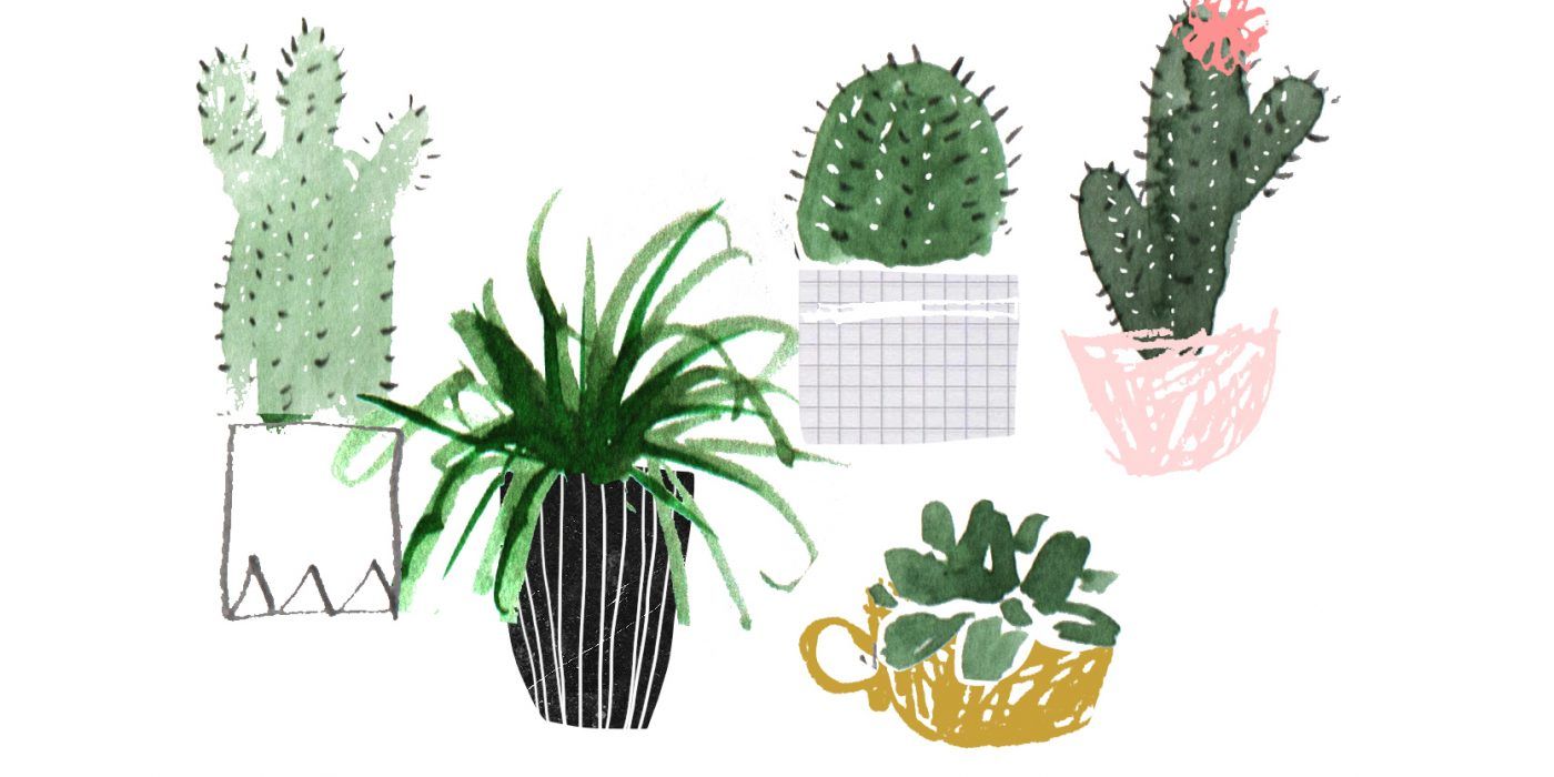 Illustrazione piante grasse cactus, 1400x700 720p, Monitor Gaming