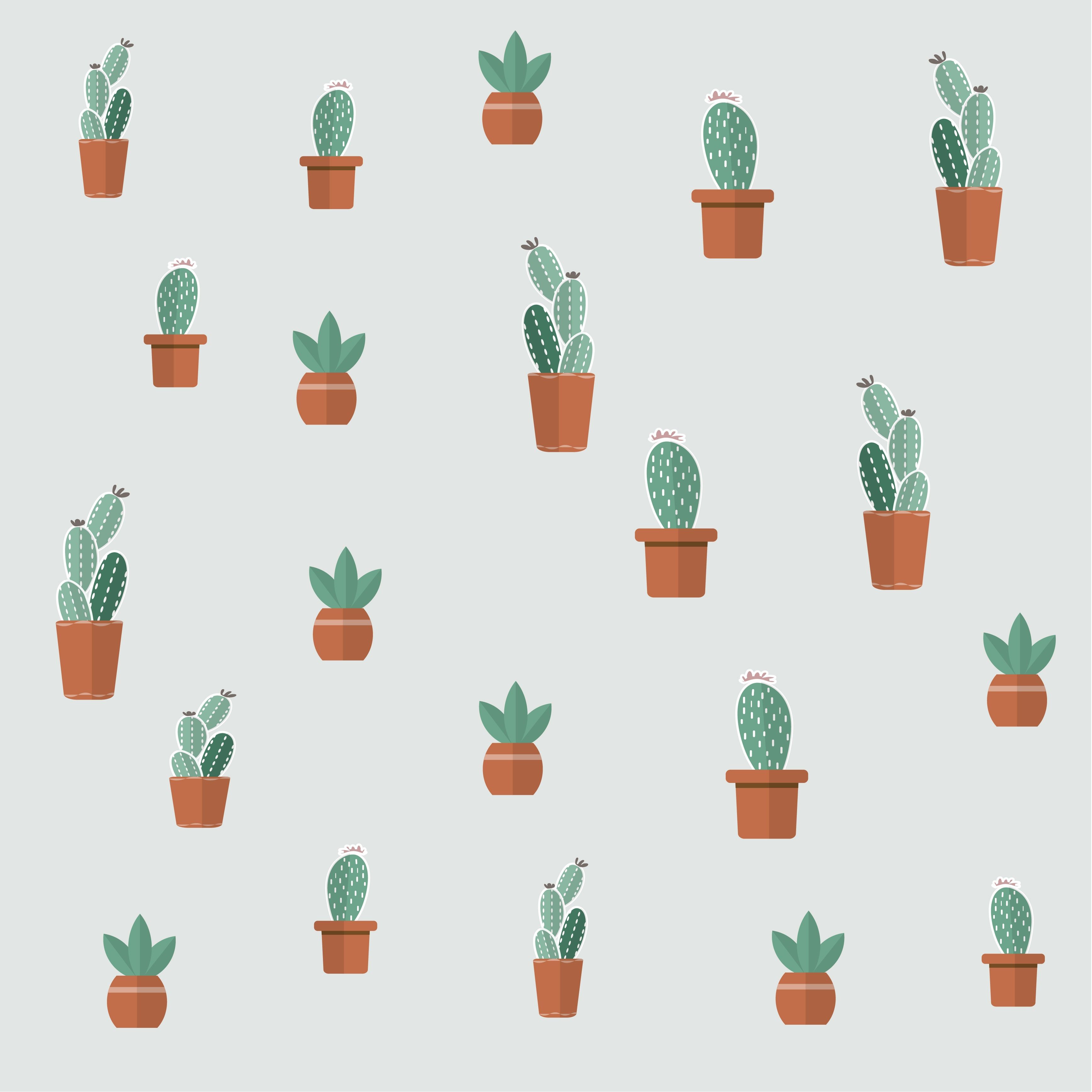 Pattern cactus in vaso, 3473x3473 WQXGA, Desktop