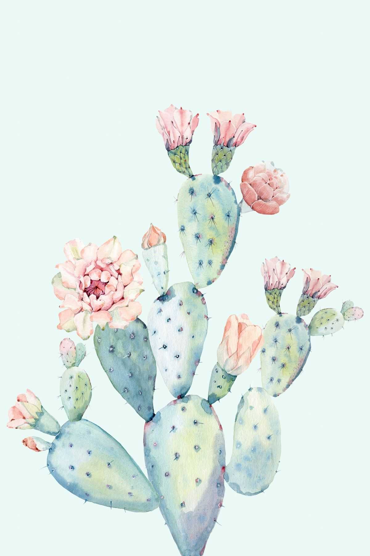 Cactus acquerello con fiori rosa, 1200x1800 Full HD Verticale, Smartphone
