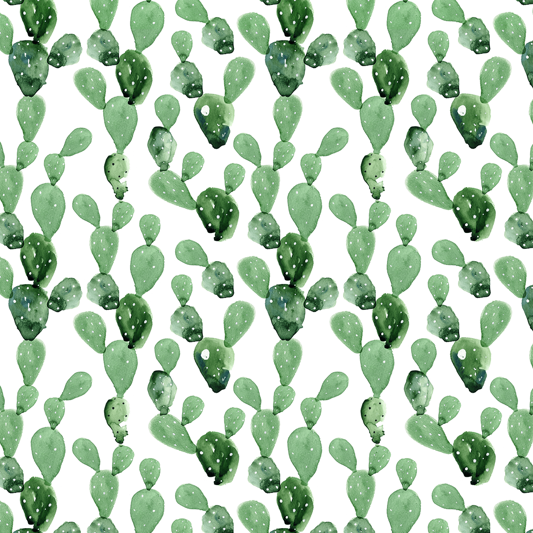Cactus acquerello verde pattern, 1080x1080 HD, PC