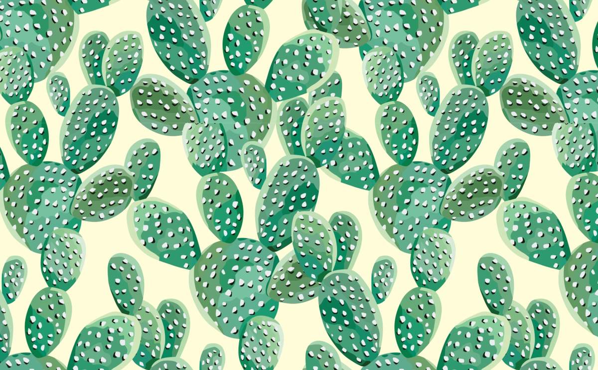 Cactus verdi ad acquerello, 1200x742 HD, Desktop