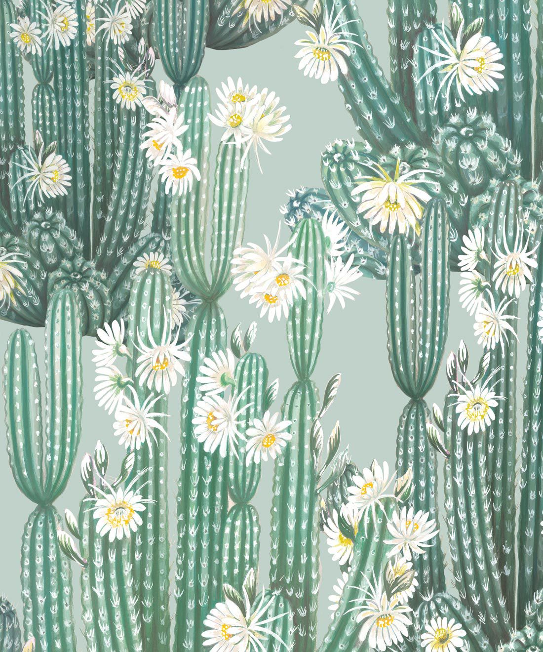 Cactus con fiori bianchi verde, 1100x1320 Full HD Verticale, iPhone
