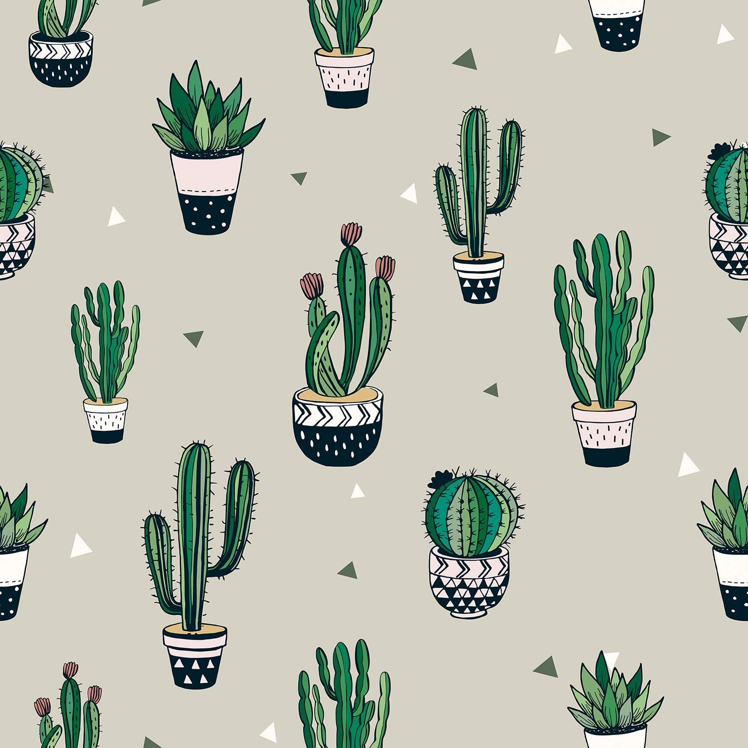 Pattern cactus in vasi decorati, 1500x1500 HD, Desktop