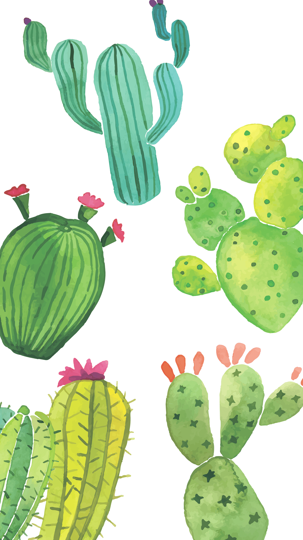 Cactus illustrati ad acquerello verde, 1150x2048 Verticale, Mobile