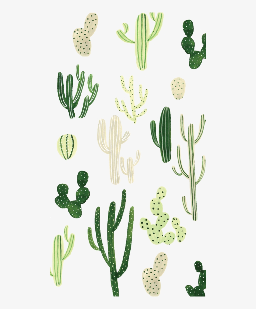 Illustrazione cactus verdi vari, 820x989 Full HD Verticale, Smartphone