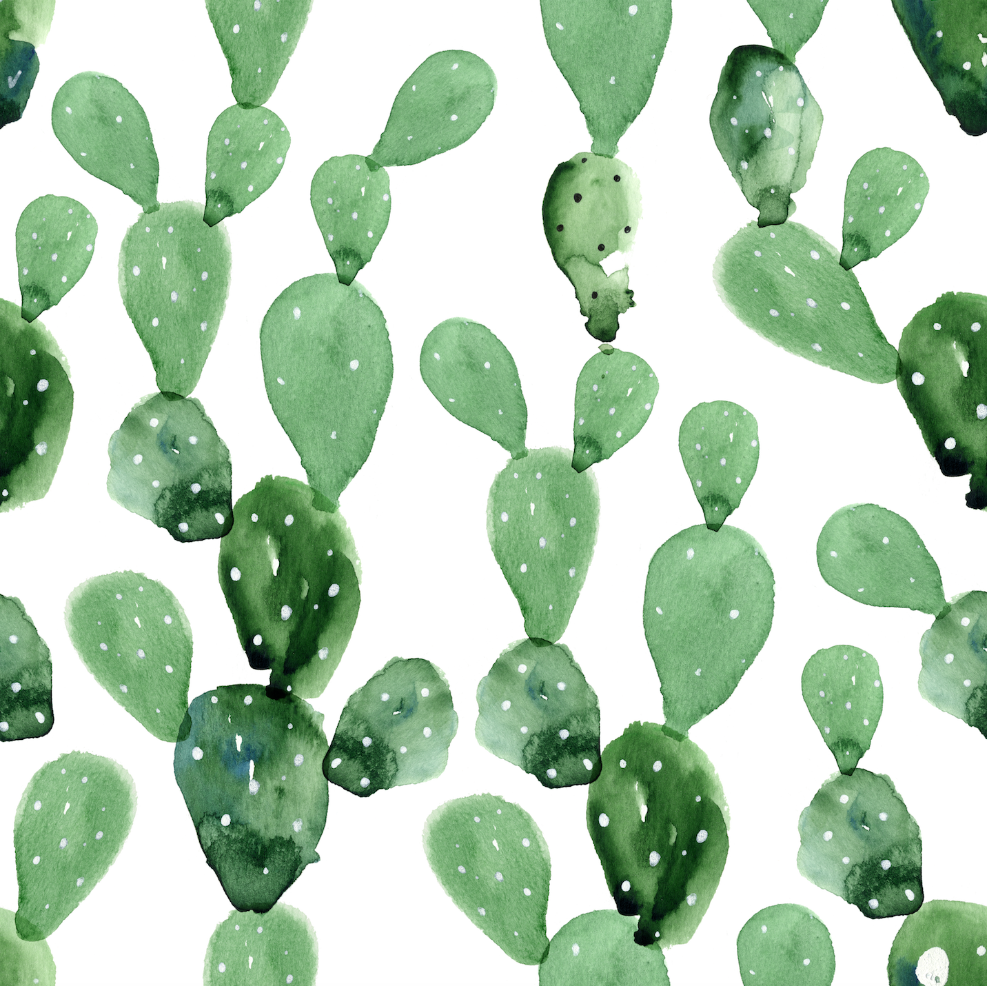 Cactus verdi acquerello, pattern, 1432x1430 HD, Desktop