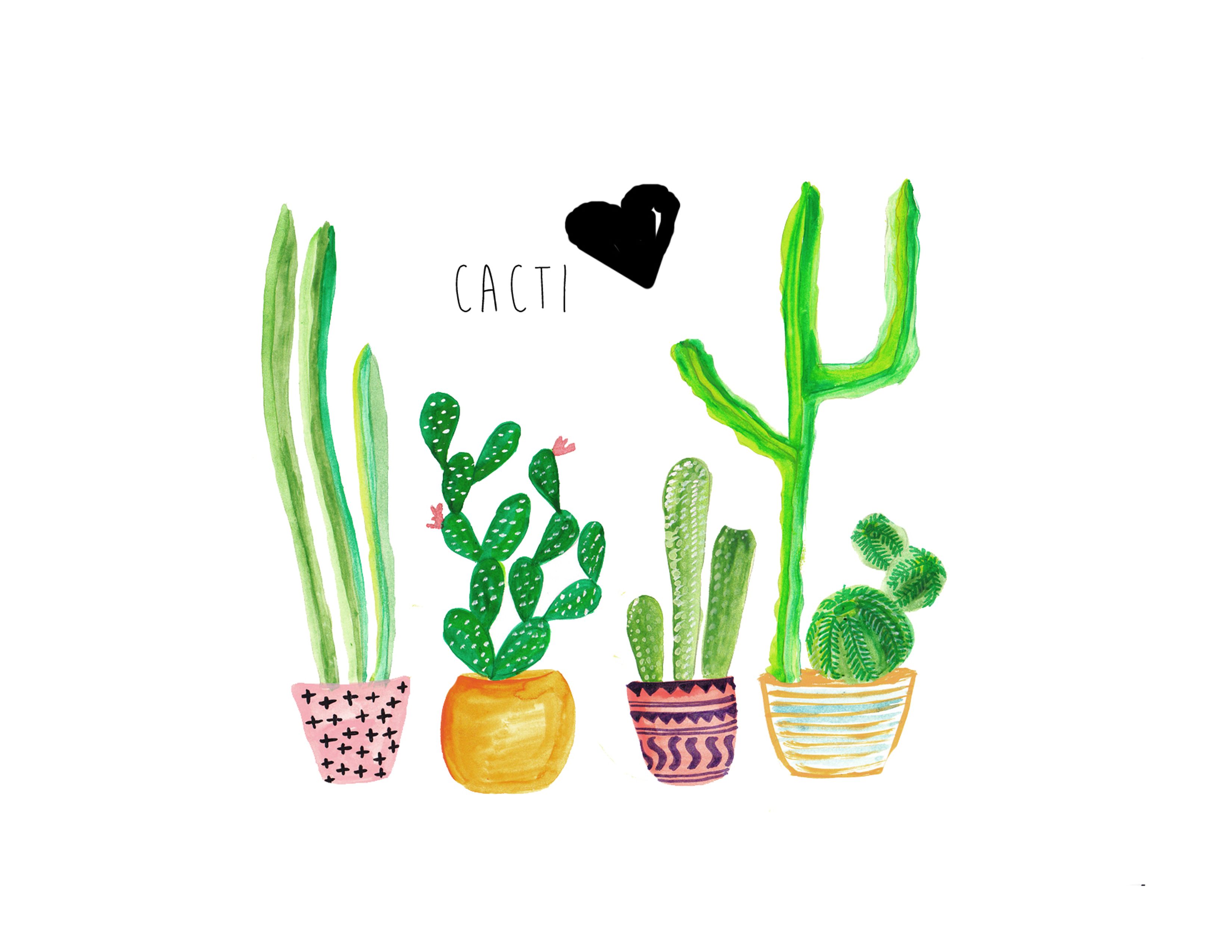 Illustrazione cactus in vasi, 3300x2550 2K, Monitor Gaming