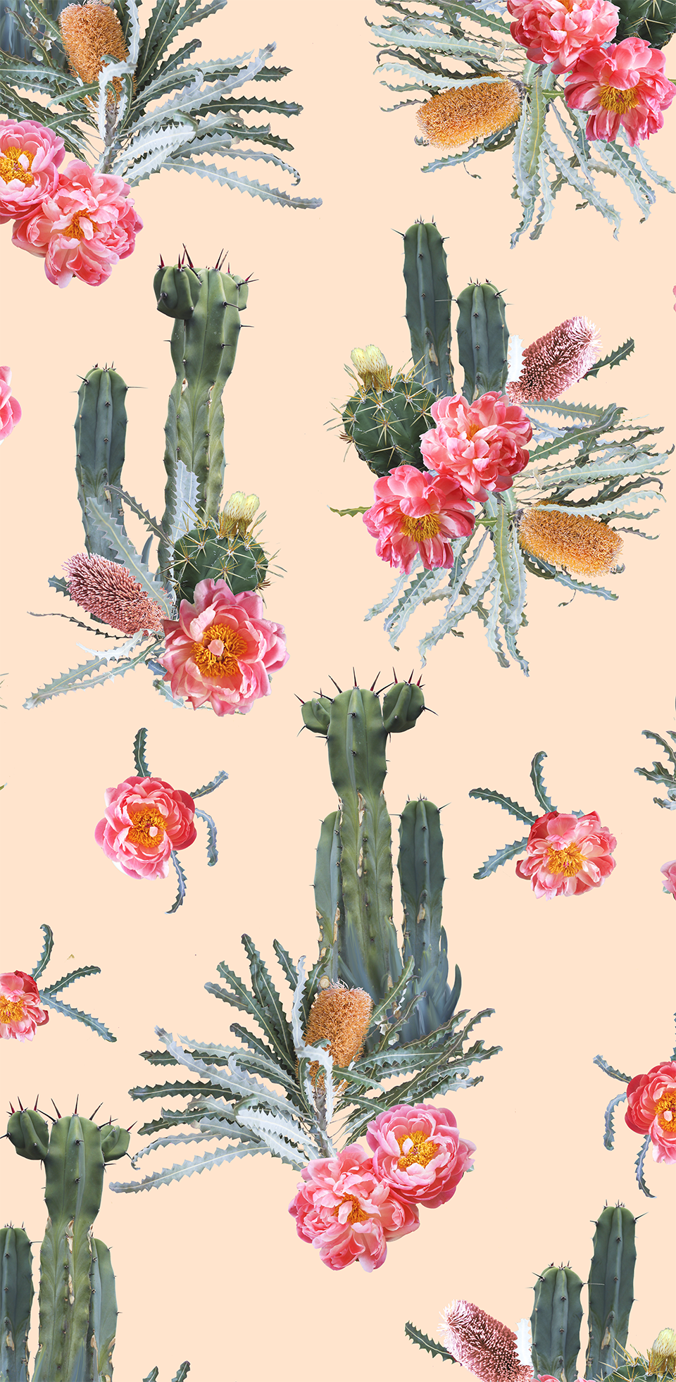 Cactus con fiori rosa, 960x1962 Verticale, Telefono