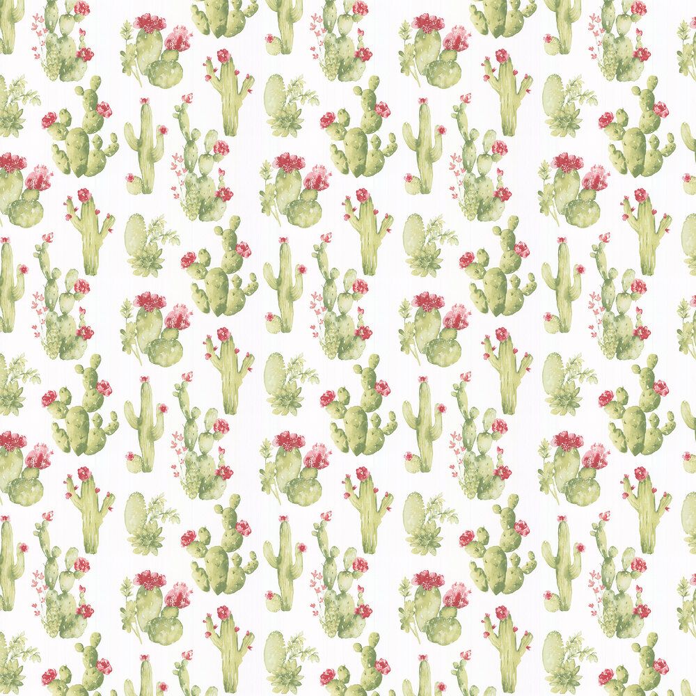 Cactus fiori acquerello verde, 1000x1000 HD, Desktop