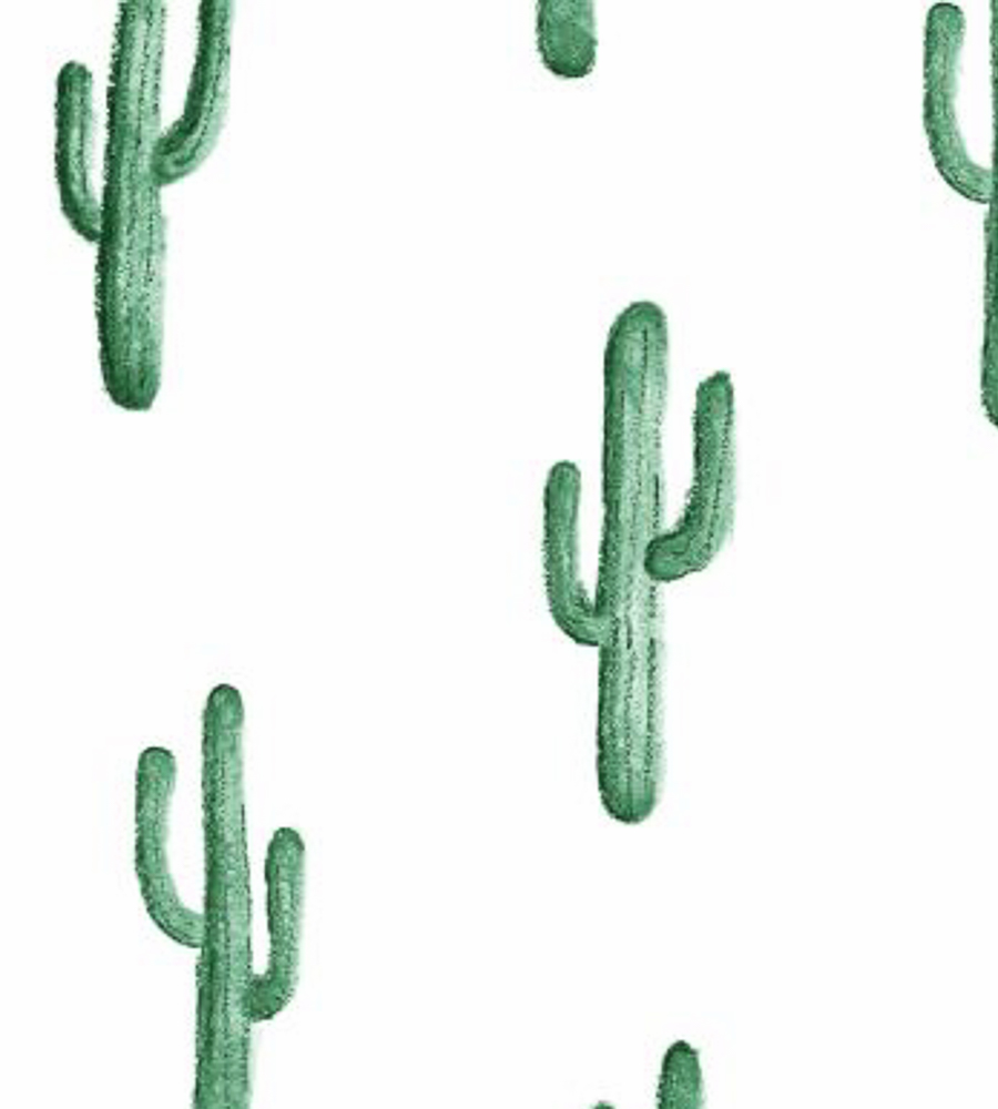 Cactus verdi su sfondo bianco, 900x1000 Verticale, Mobile