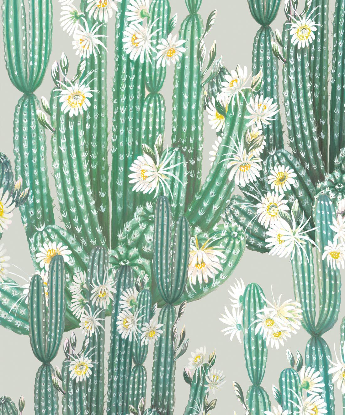 Cactus verdi con fiori bianchi, 1100x1320 Full HD Verticale, Smartphone