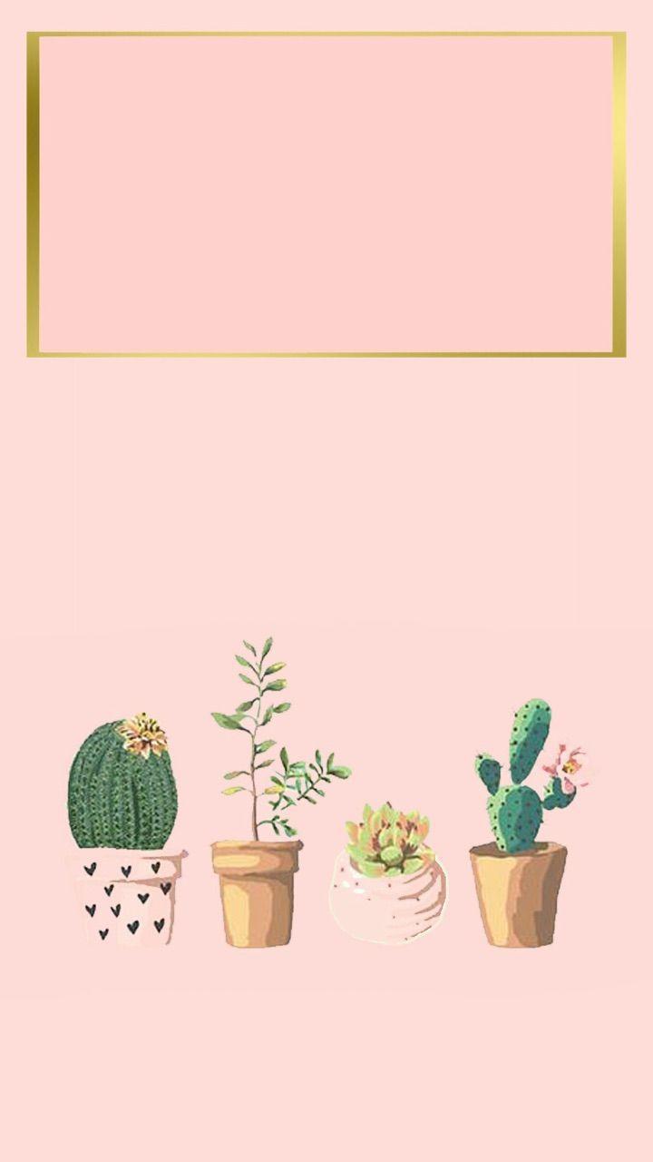 Cactus in vasi, sfondo rosa, 720x1280 Full HD Verticale, iPhone