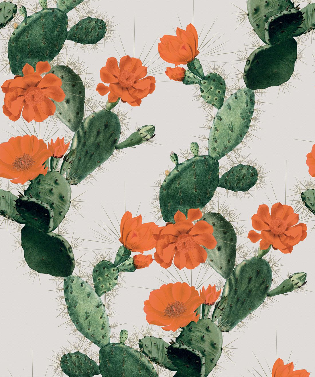 Cactus verdi con fiori arancioni, 1100x1318 Verticale, Mobile