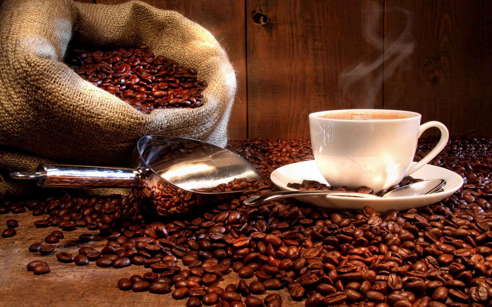Chicchi di caffè e tazzina, 1920x1200 WUXGA, Laptop