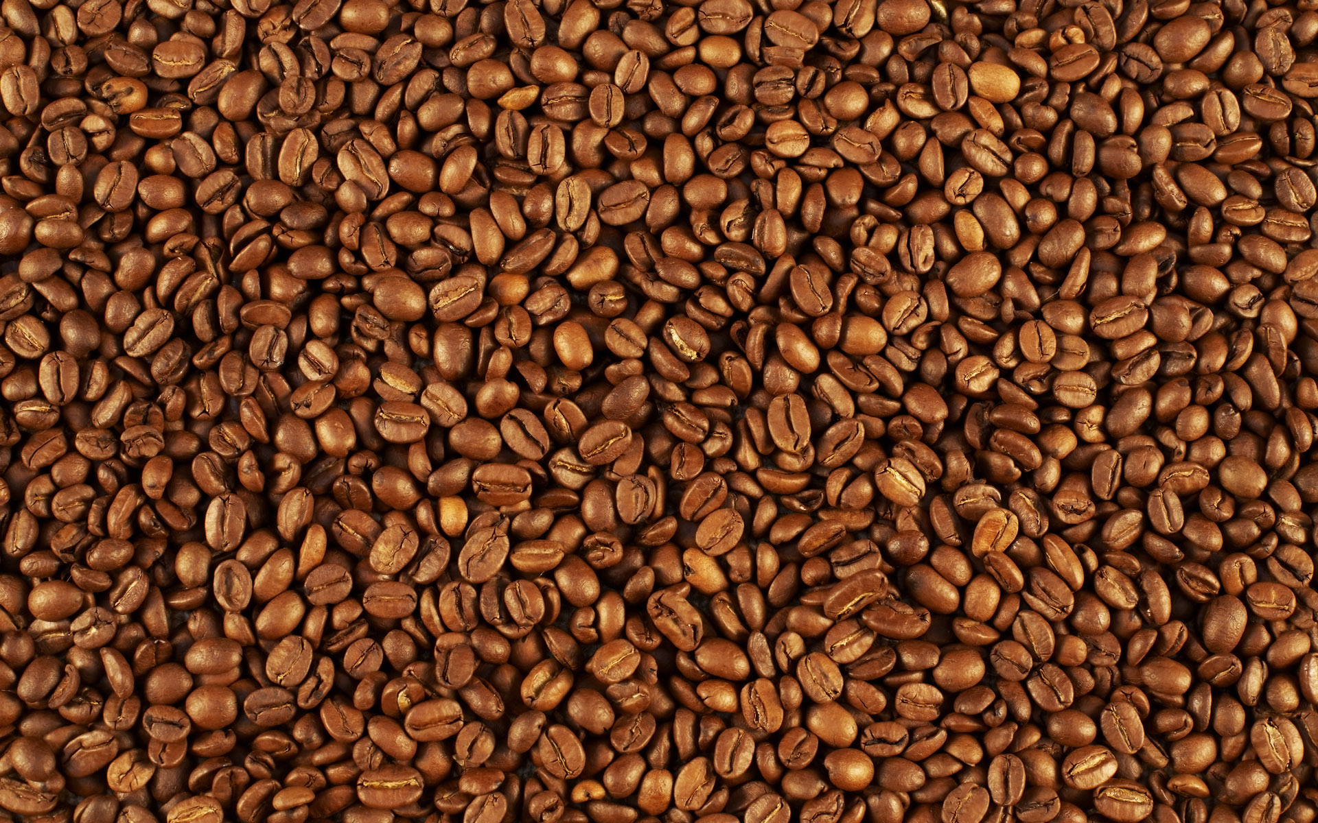 Chicchi di caffè tostati, 1920x1200 WUXGA, PC