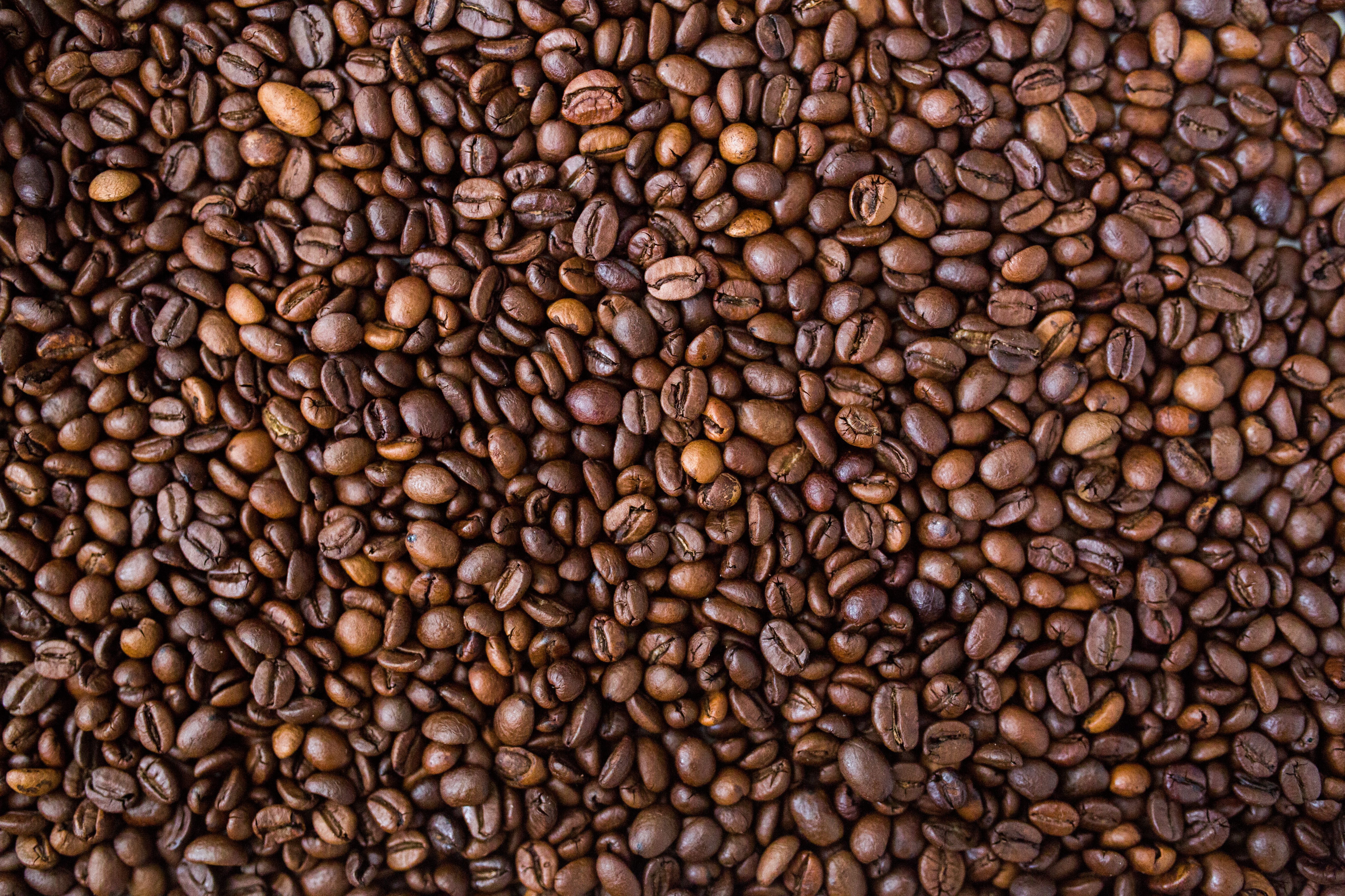 Chicchi di caffè marroni, 5472x3648 Ultra HD, 4K TV