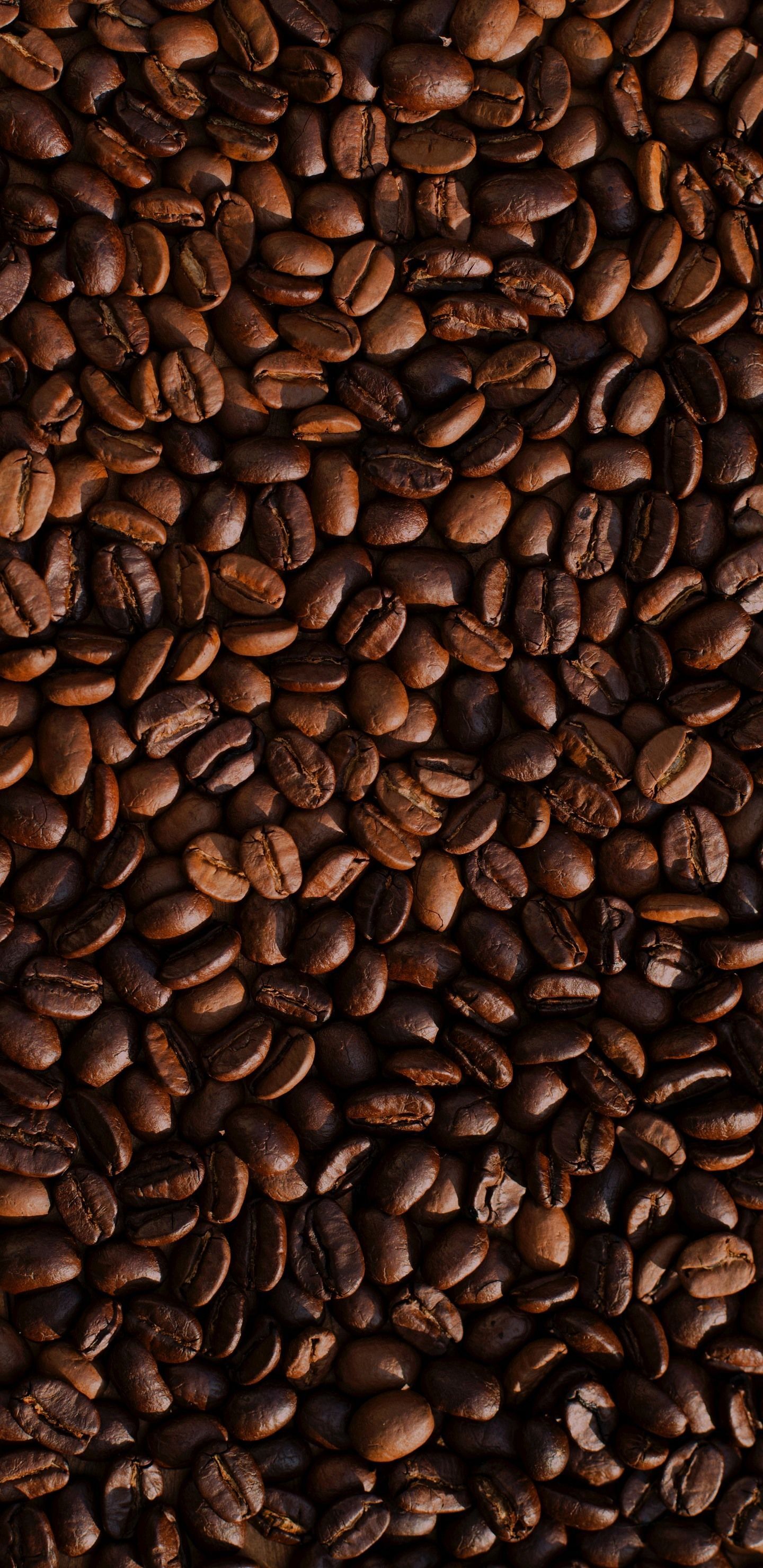 chicchi di caffè marroni, 1440x2960 Verticale, Samsung Galaxy