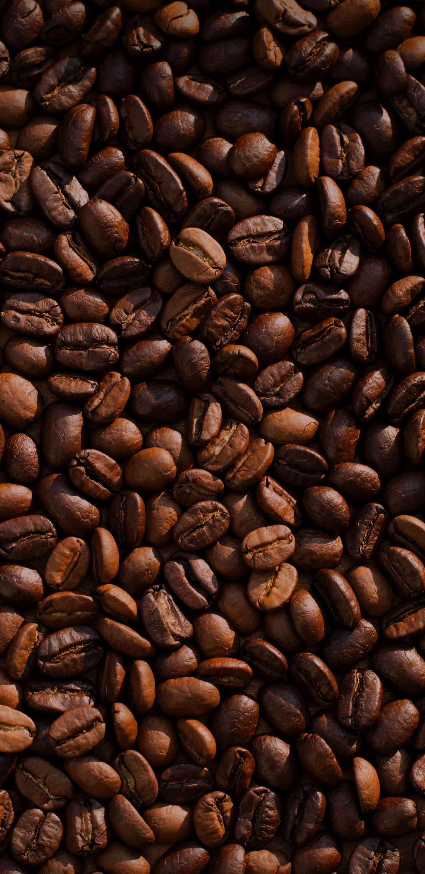 Bicchiere Starbucks Coffee natalizio, 750x1334 Verticale, Galaxy Note
