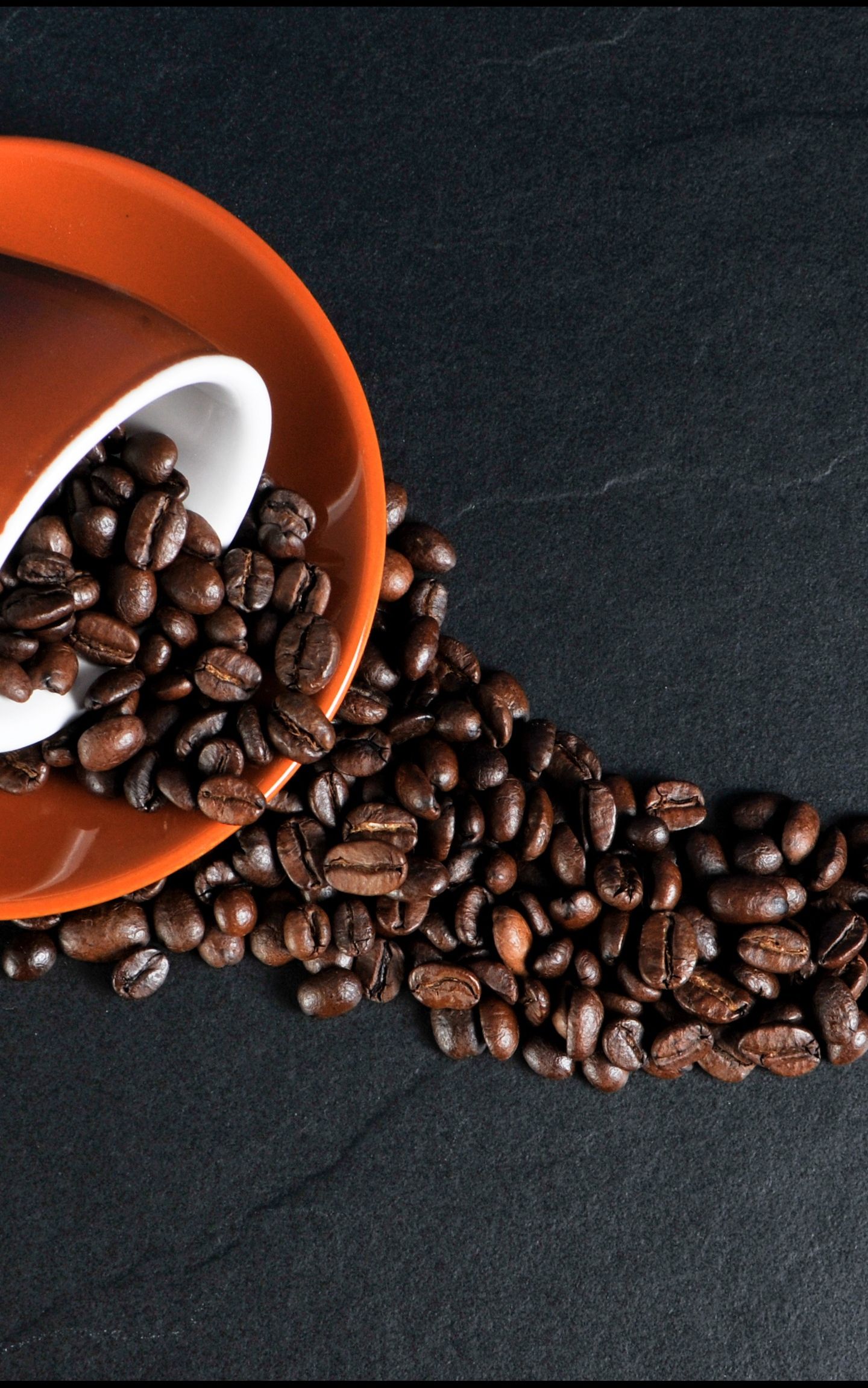 Tazza blu con latte art, 2560x2560 WQXGA, Desktop