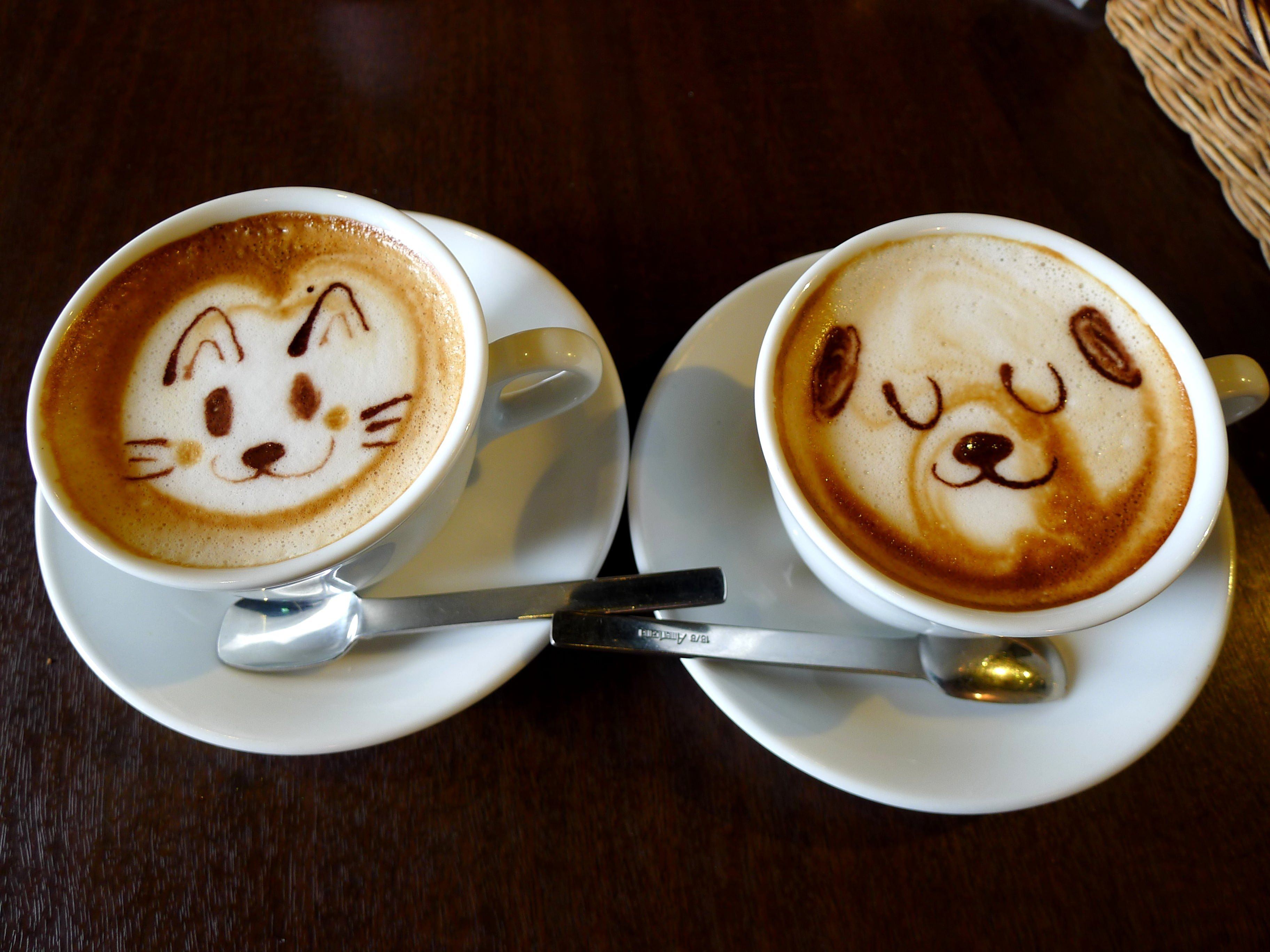 Tazze cappuccino latte art animali, 3648x2736 2K+, PC