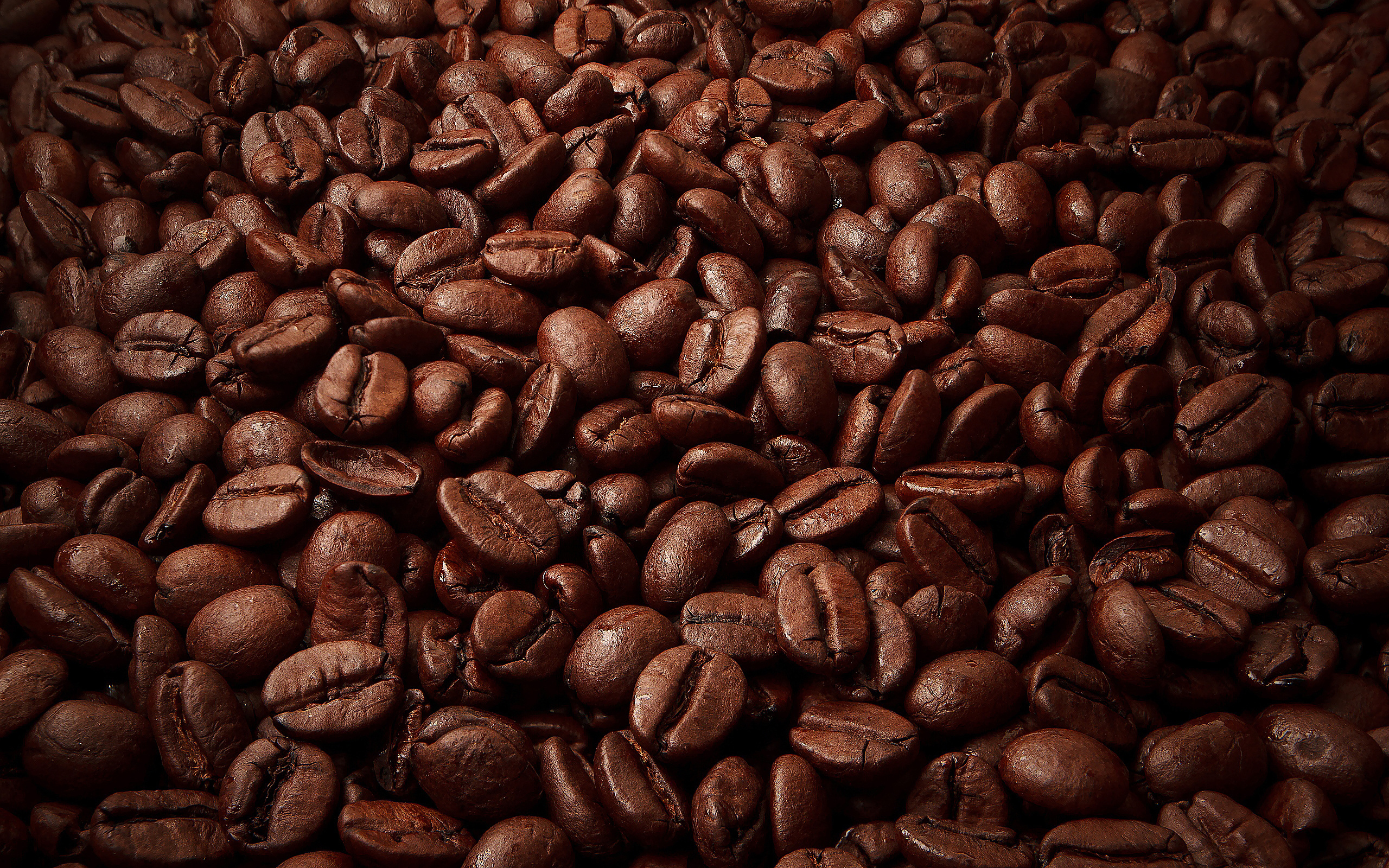 Chicchi di caffè tostati, 2560x1600 2K+, Desktop