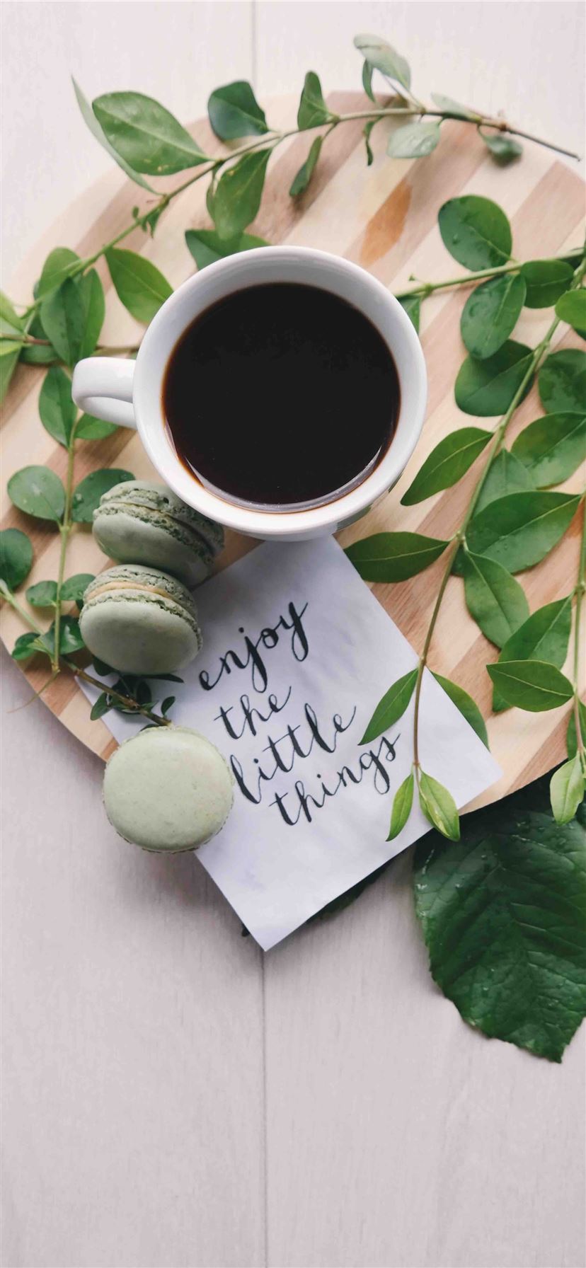 Tazza caffè macaron foglie verdi, 828x1792 Full HD Verticale, Smartphone