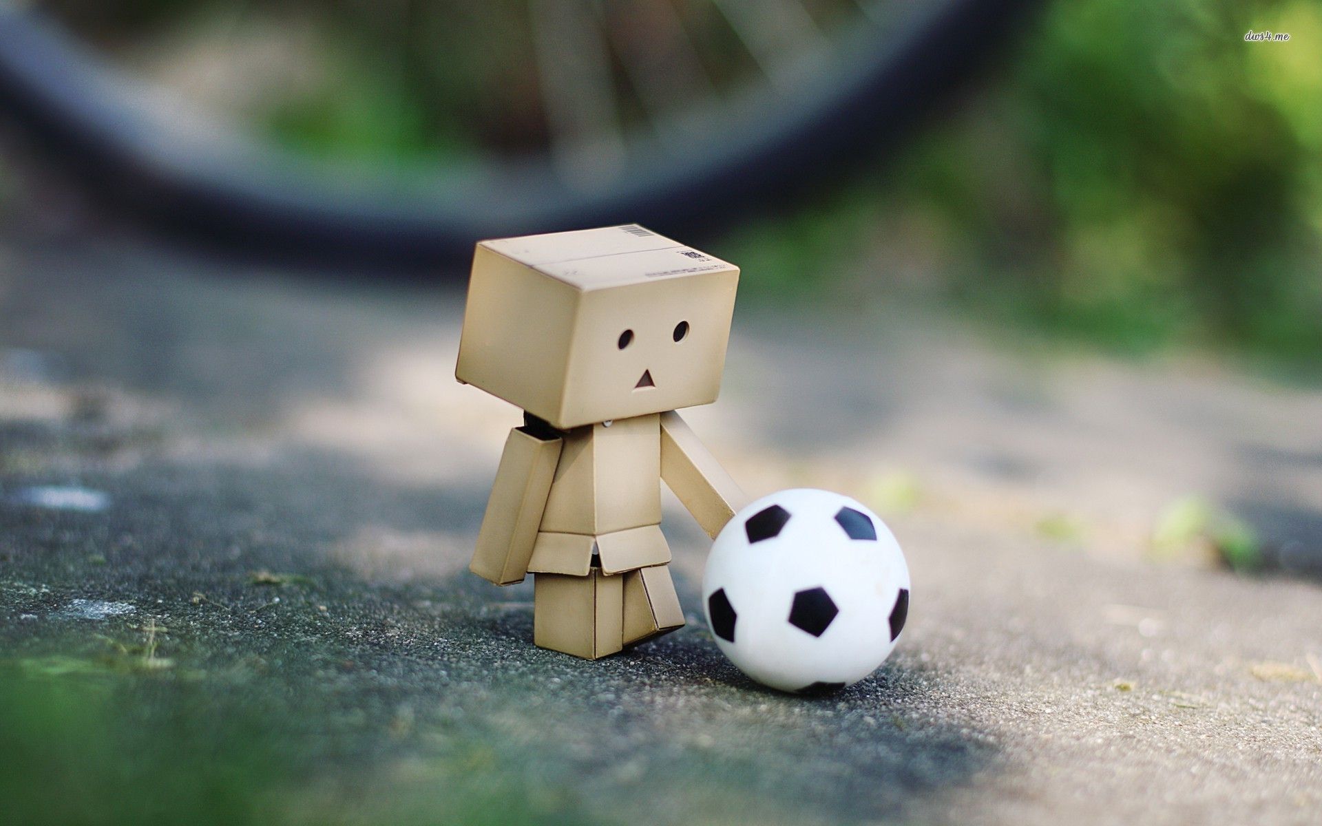 Danbo con pallone da calcio, 1920x1200 Full HD+, PC Desktop