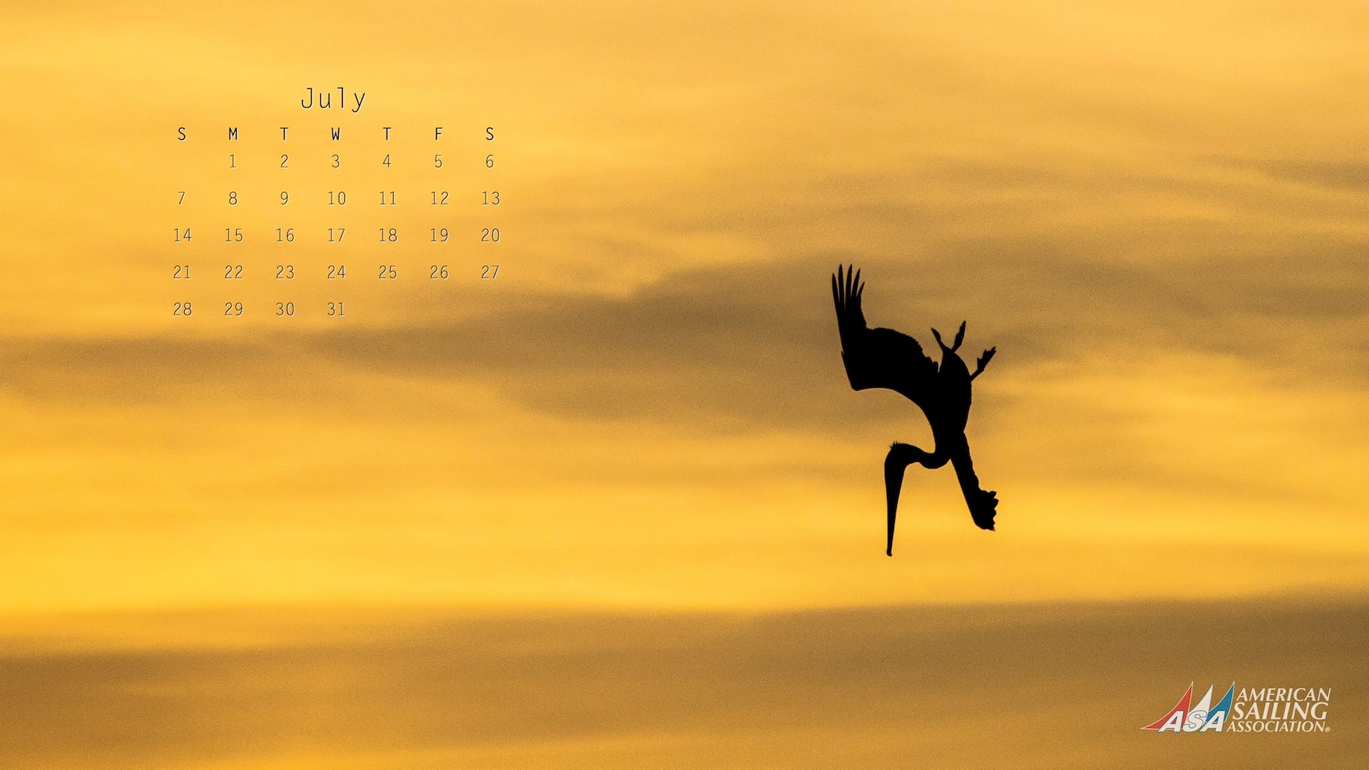Uccello in volo tramonto arancione, 1920x1080 1080p, PC