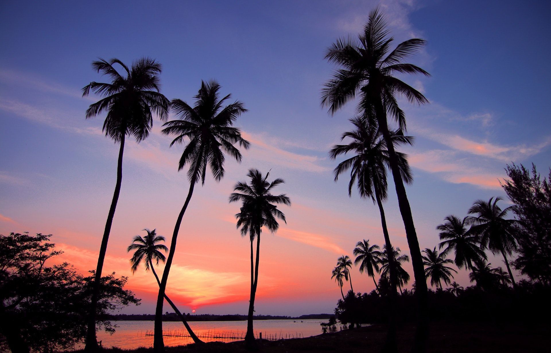 Palme al tramonto spiaggia, 1920x1230 WUXGA, Desktop