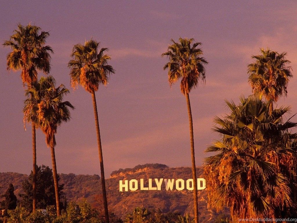 Cartello Hollywood con palme, 1024x768 HD, Laptop
