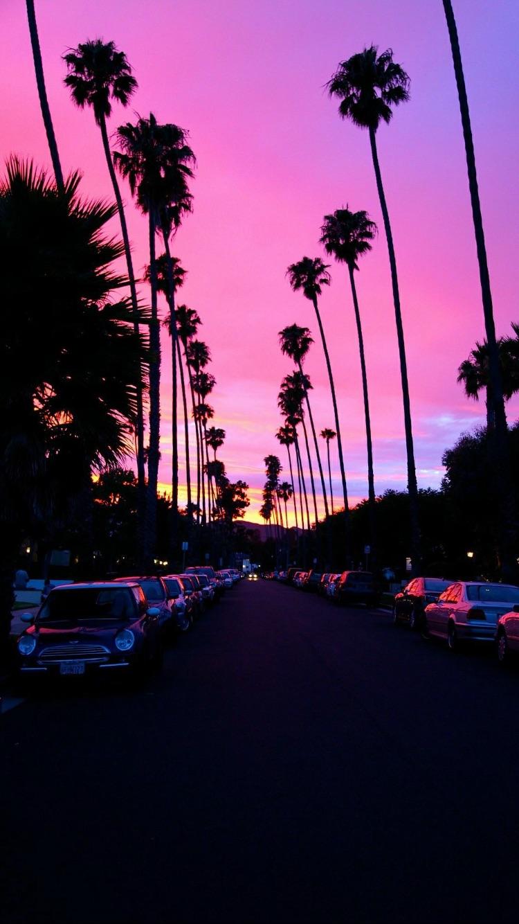 Palme al tramonto California, 750x1334 Full HD Verticale, Smartphone