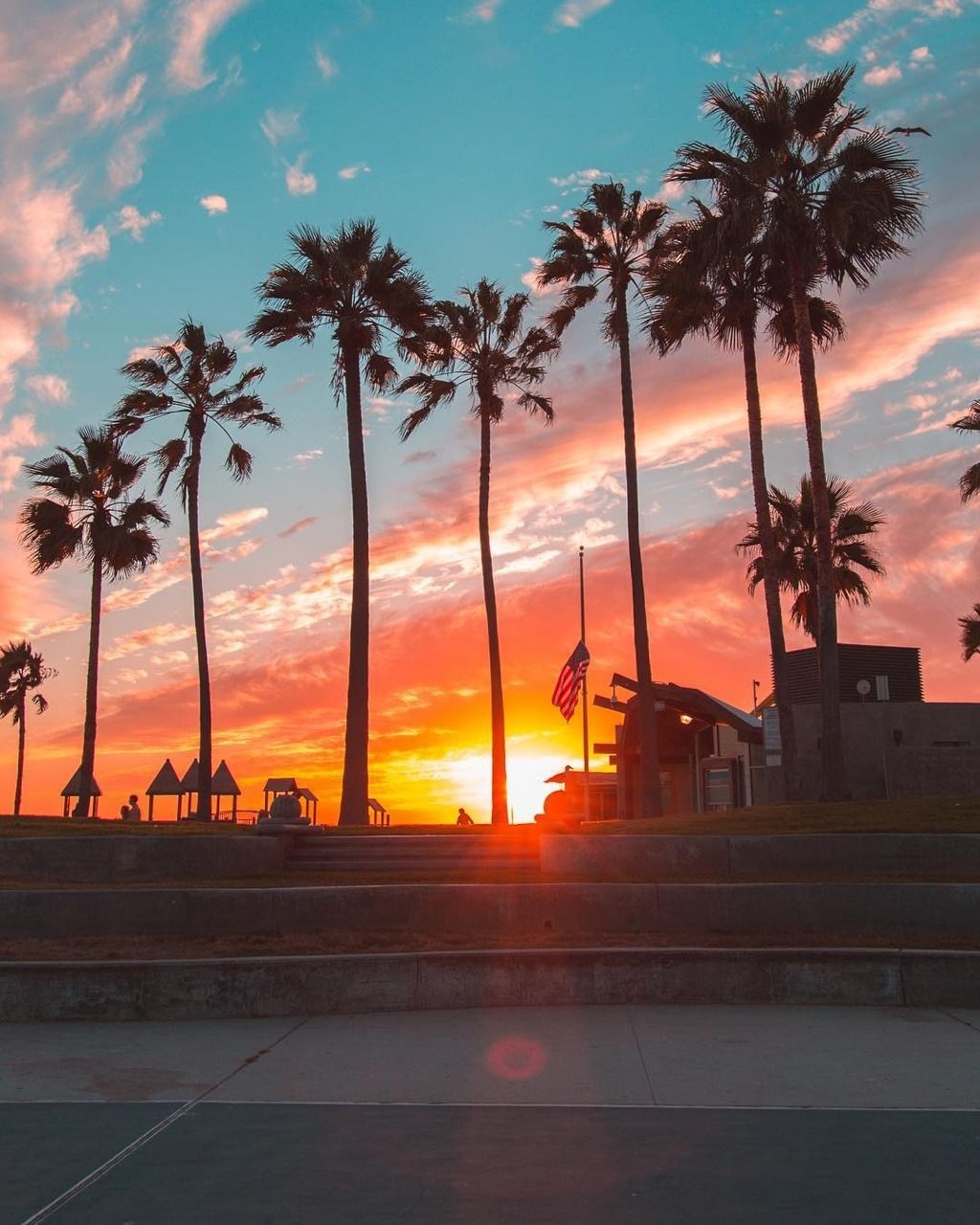 Palme al tramonto California, 1024x1280 Verticale, Mobile