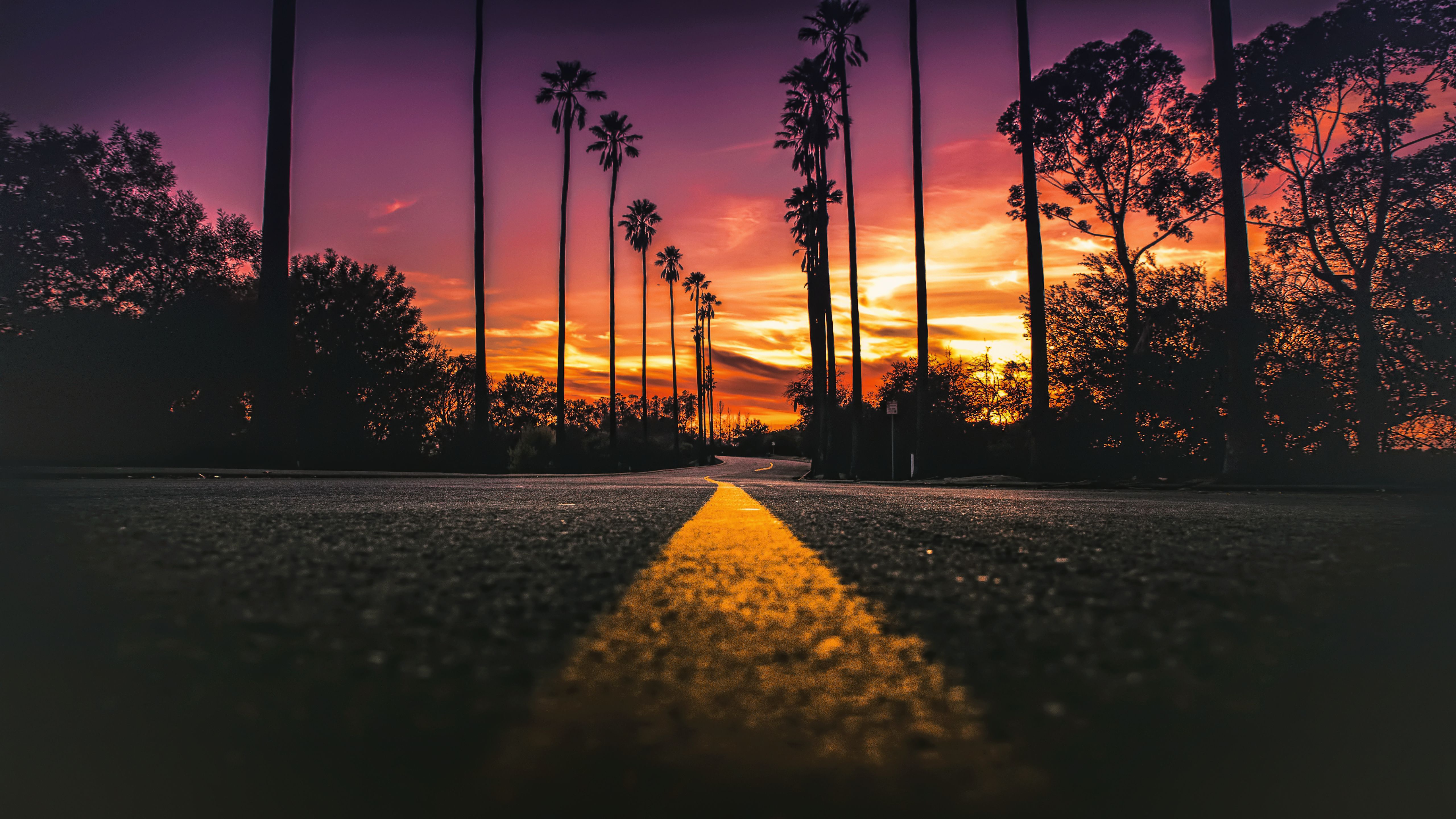Strada palme tramonto California, 5120x2880 4K Ultra HD, Monitor 4K